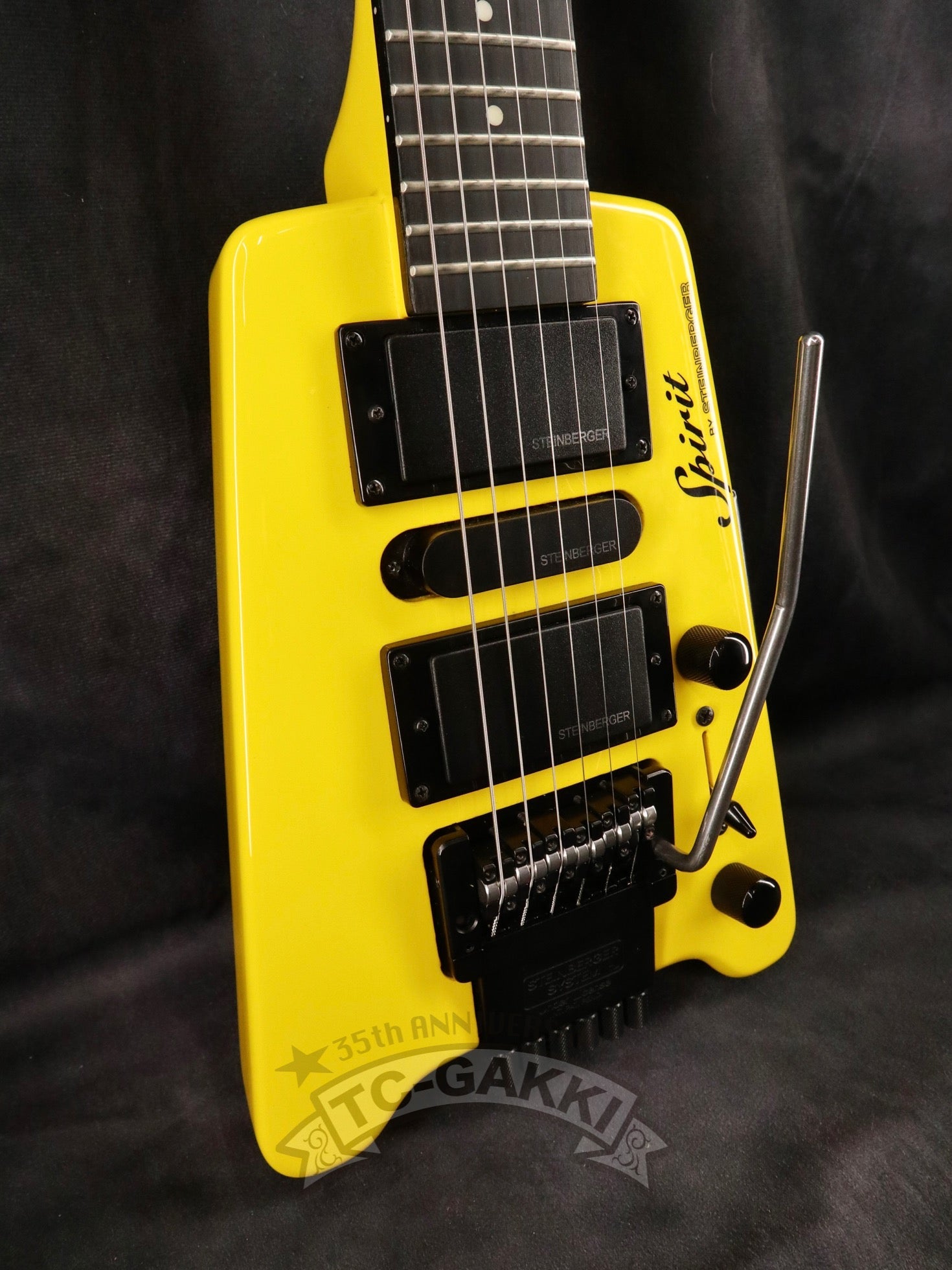 2021 GT-PRO Deluxe - TC楽器 - TCGAKKI