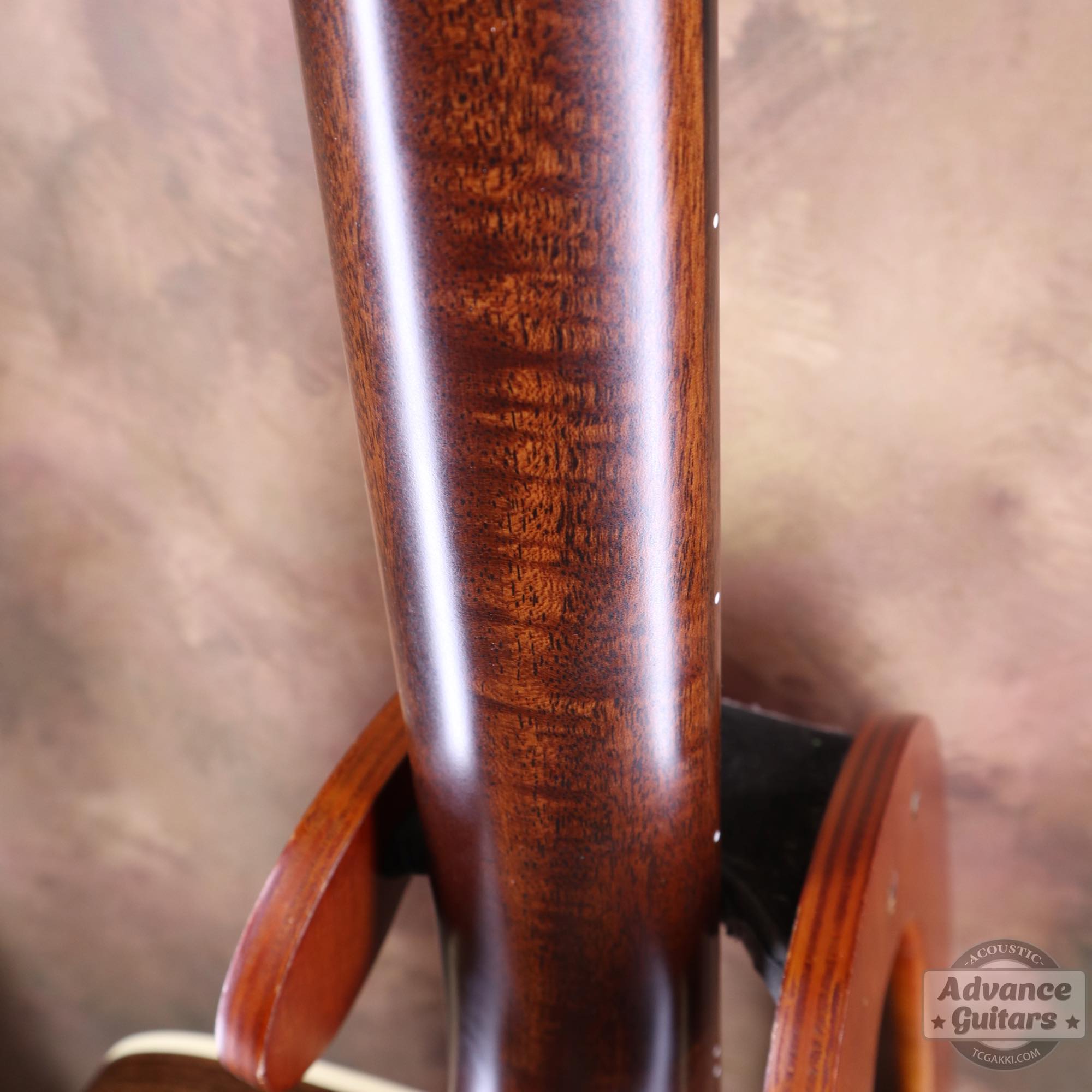 2022年製 D - 28 - TC楽器 - TCGAKKI