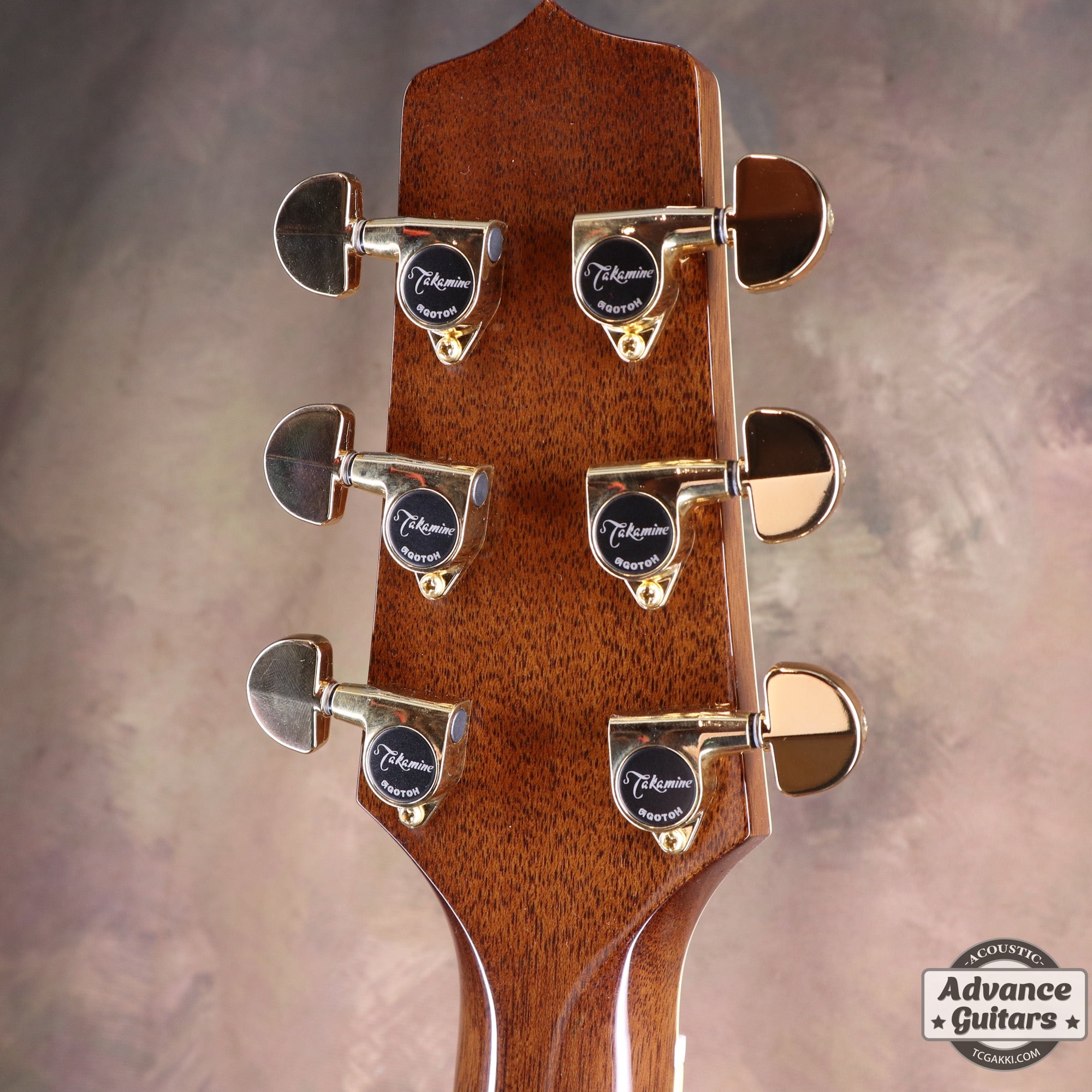 2022年製 DMP761C - TC楽器 - TCGAKKI