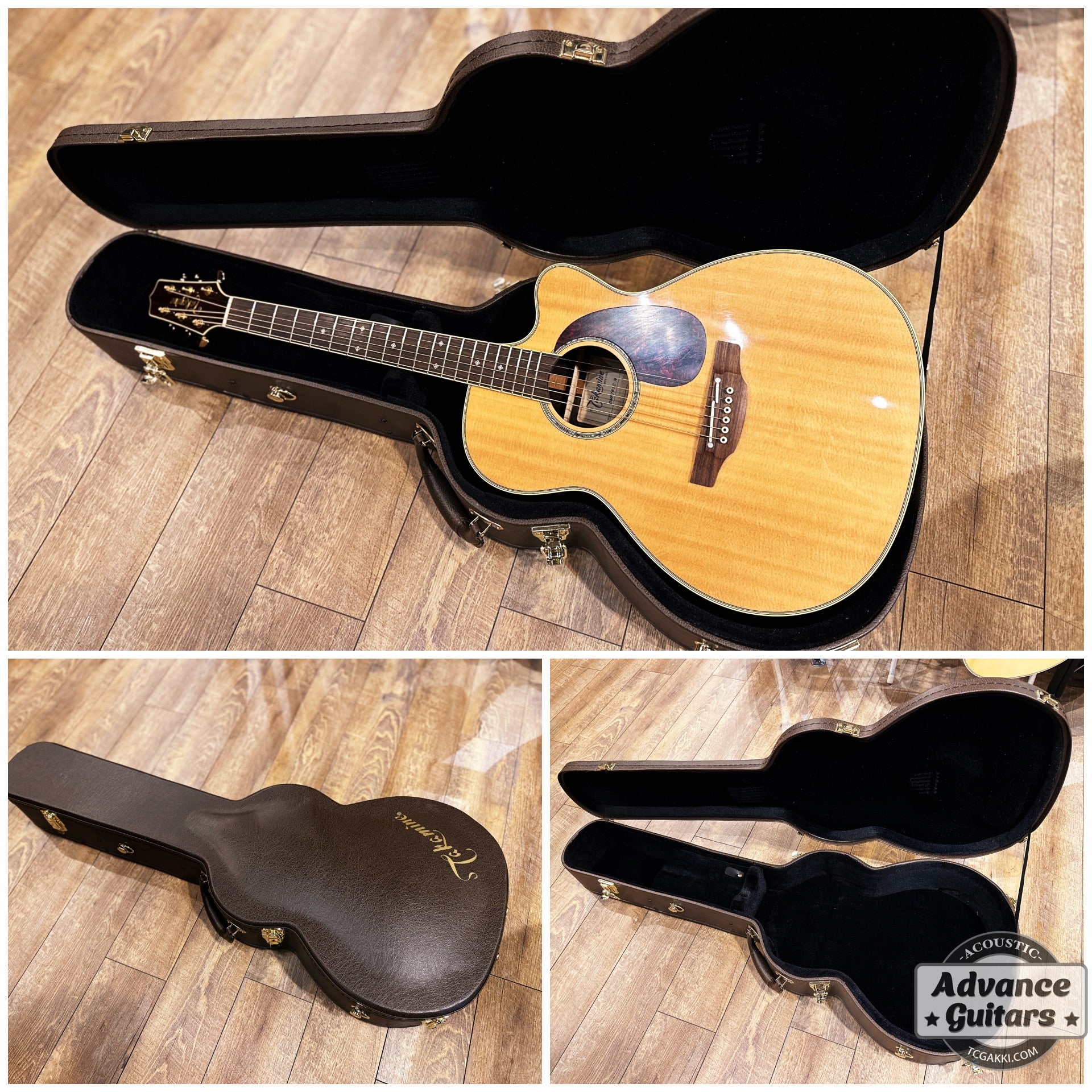 2022年製 DMP761C - TC楽器 - TCGAKKI