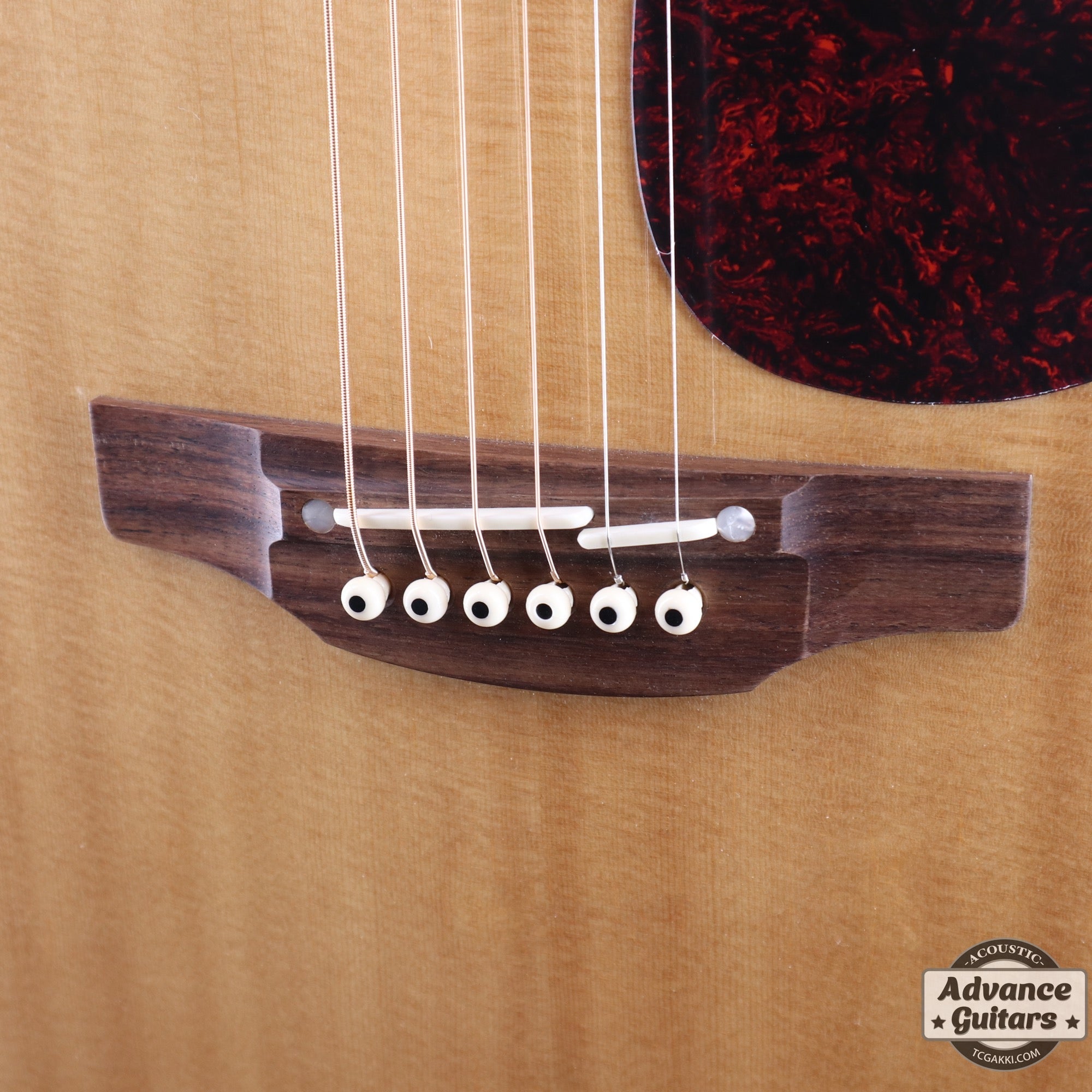 2022年製 DMP761C - TC楽器 - TCGAKKI