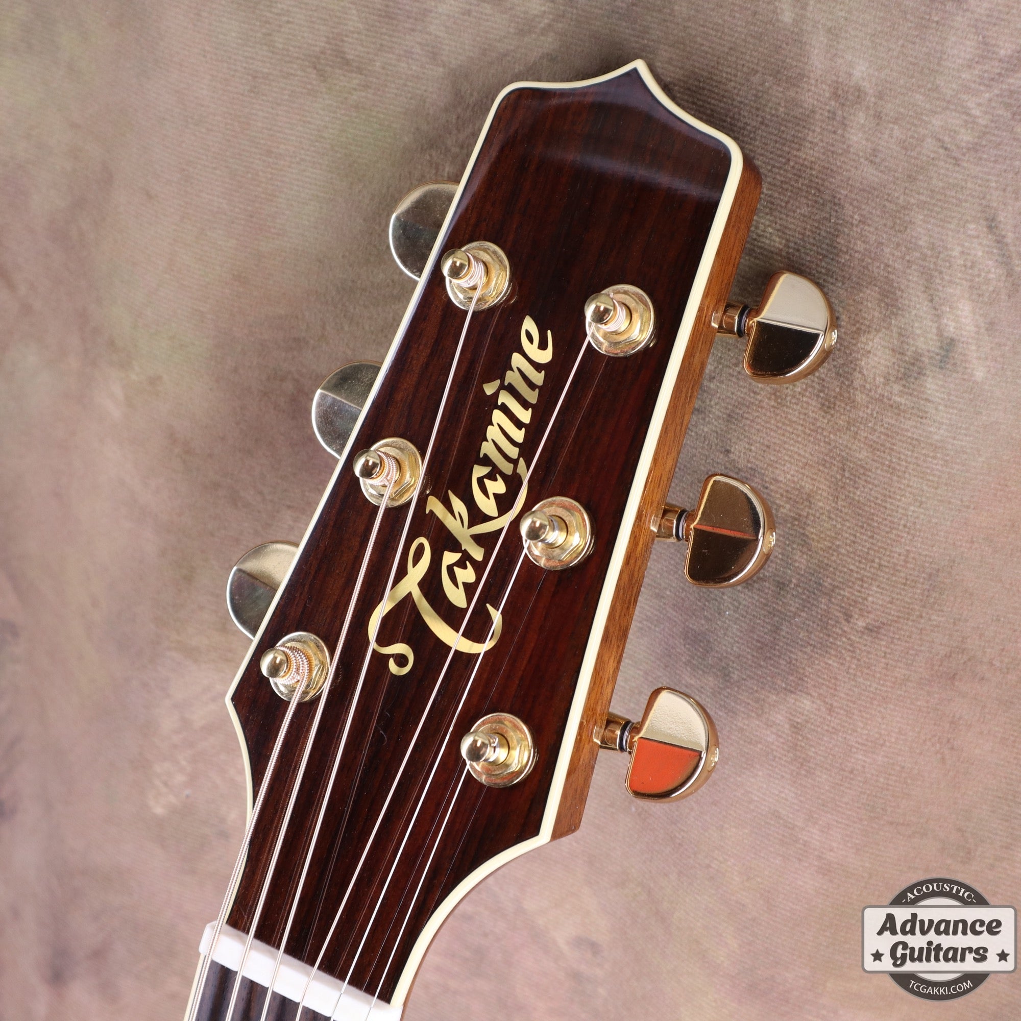 2022年製 DMP761C - TC楽器 - TCGAKKI