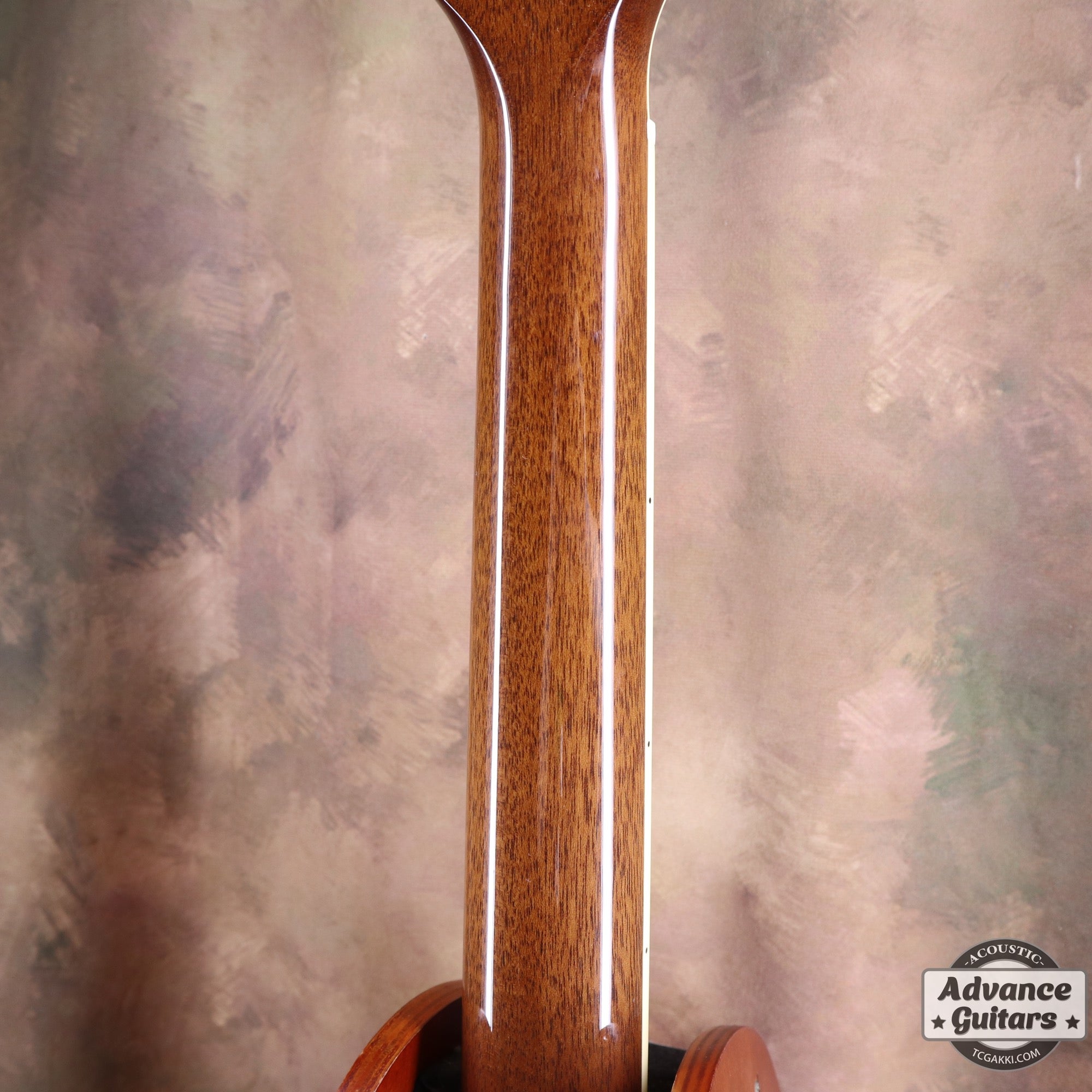 2022年製 DMP761C - TC楽器 - TCGAKKI