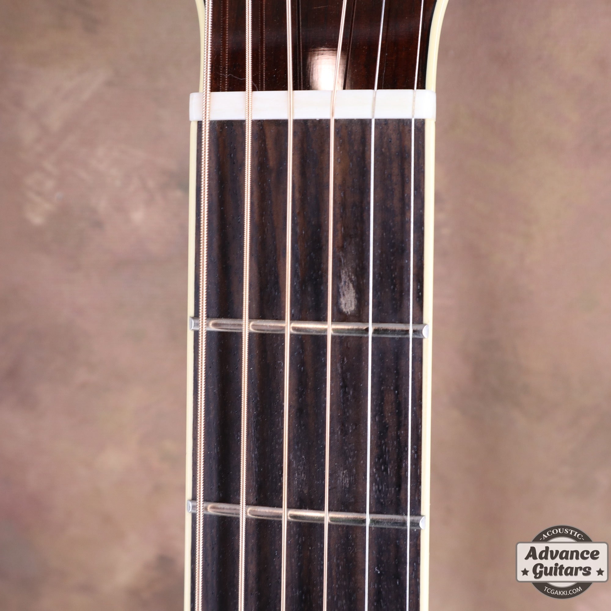 2022年製 DMP761C - TC楽器 - TCGAKKI