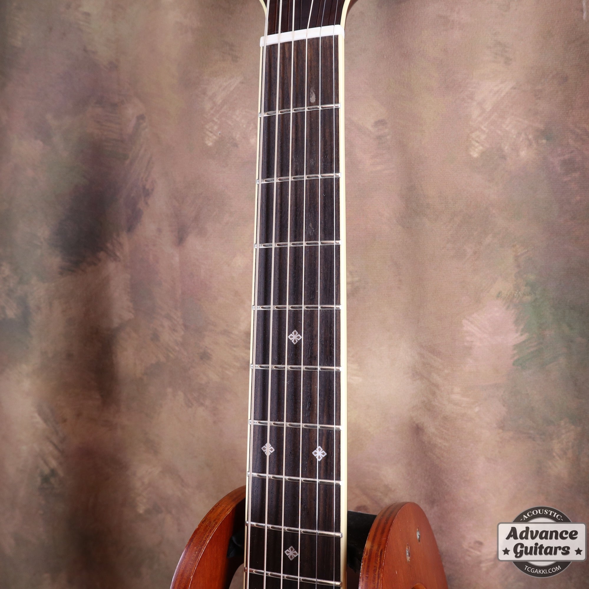 2022年製 DMP761C - TC楽器 - TCGAKKI