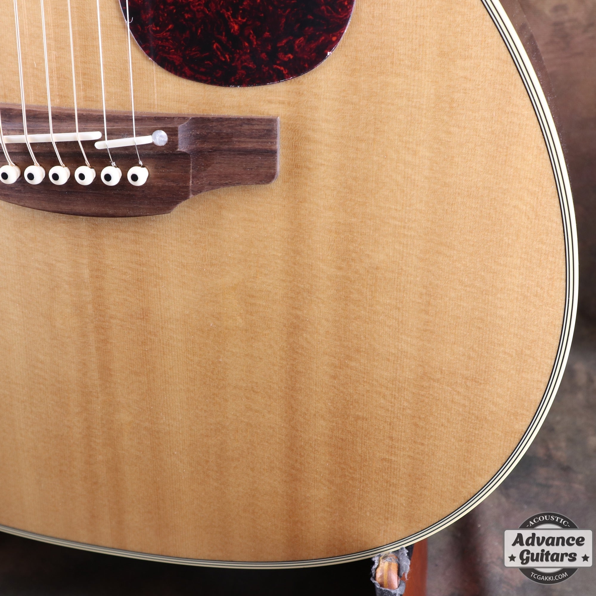 2022年製 DMP761C - TC楽器 - TCGAKKI