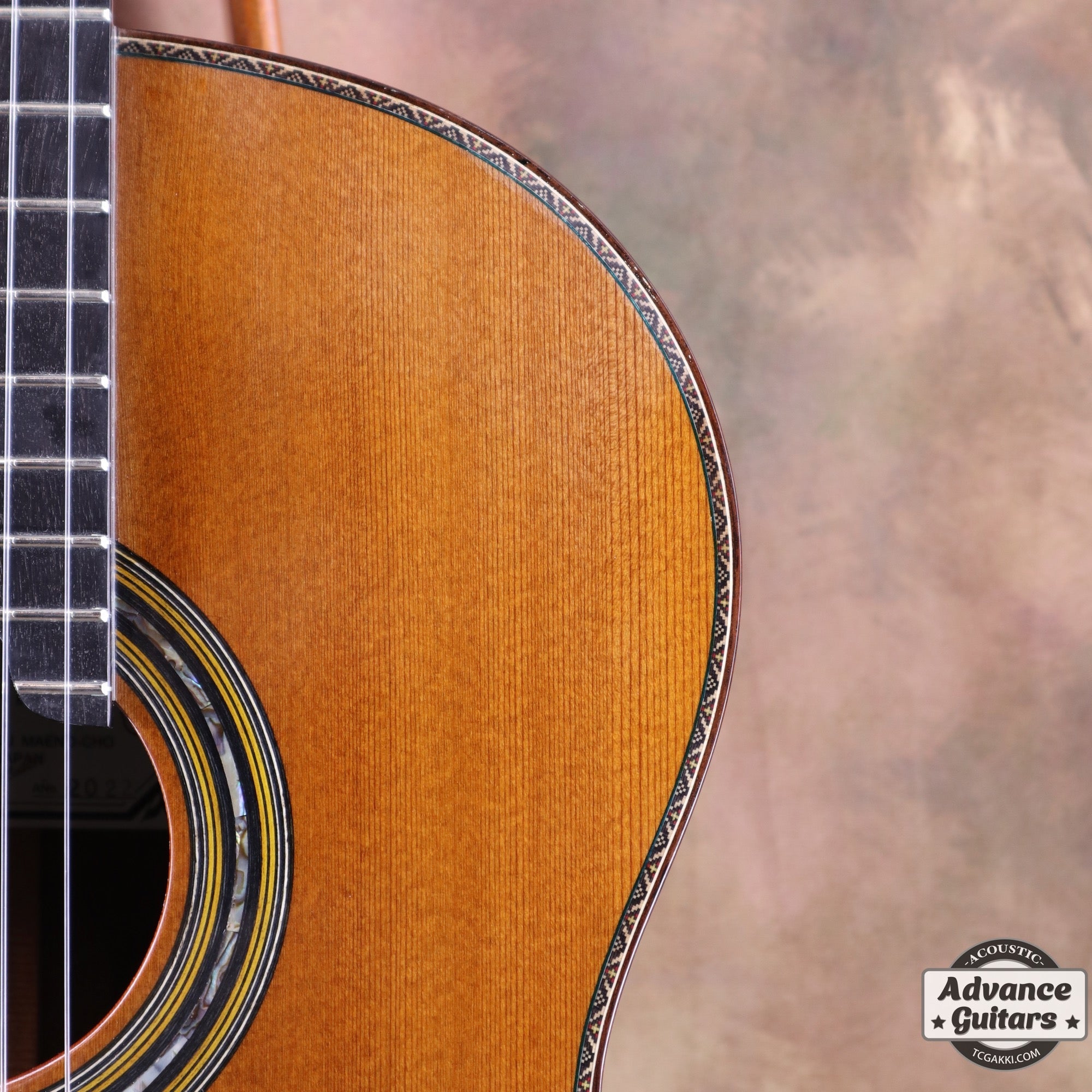 2022年製 SP - TC楽器 - TCGAKKI