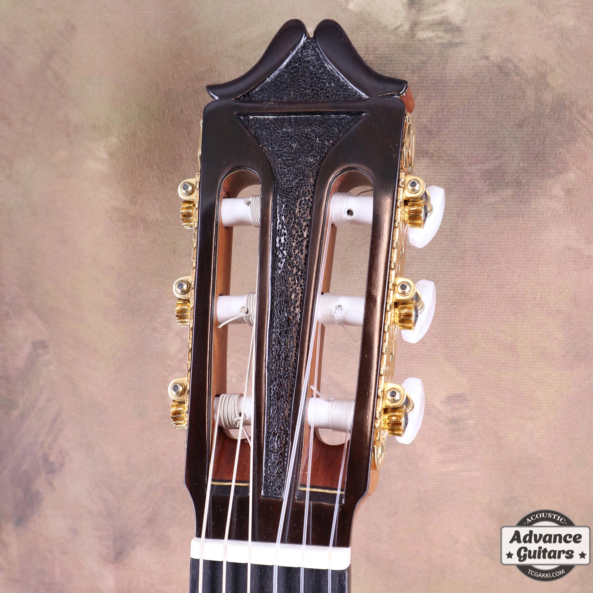 2022年製 SP - TC楽器 - TCGAKKI