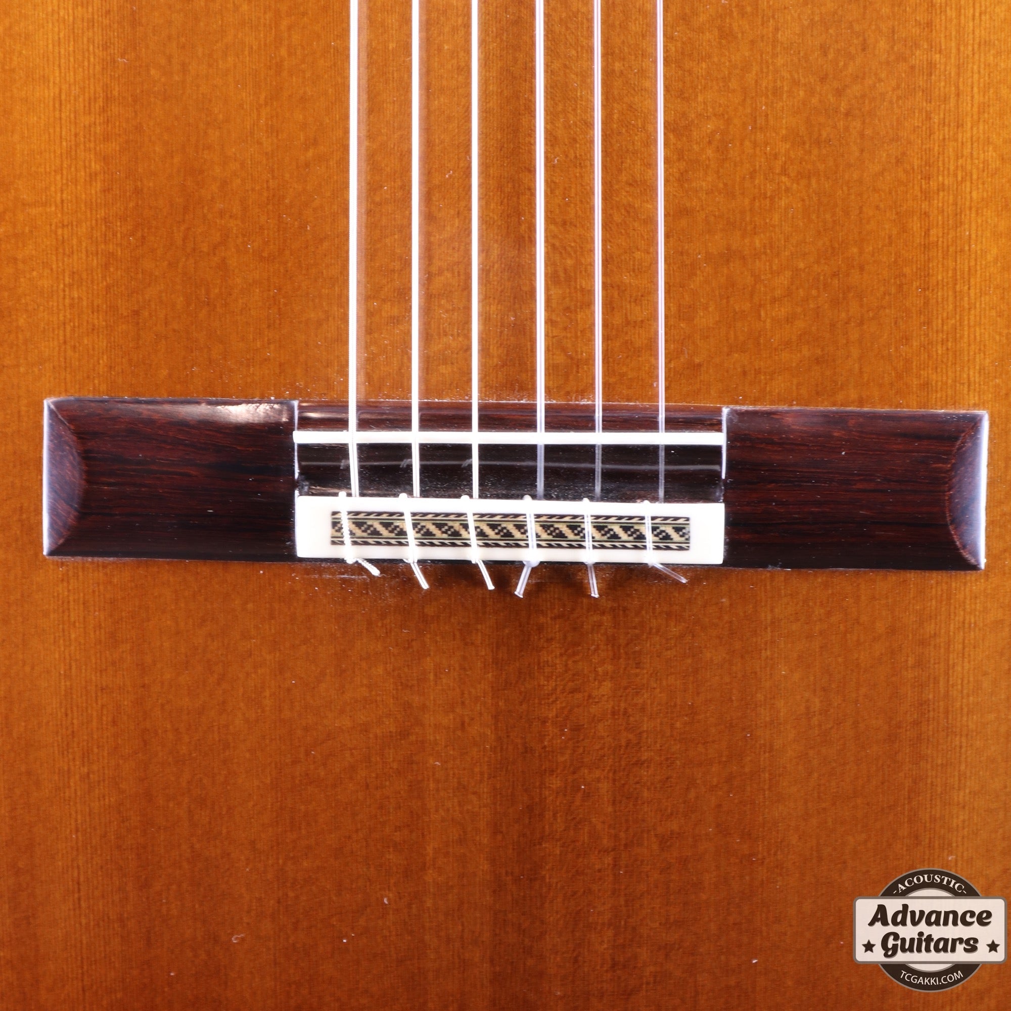 2022年製 SP - TC楽器 - TCGAKKI