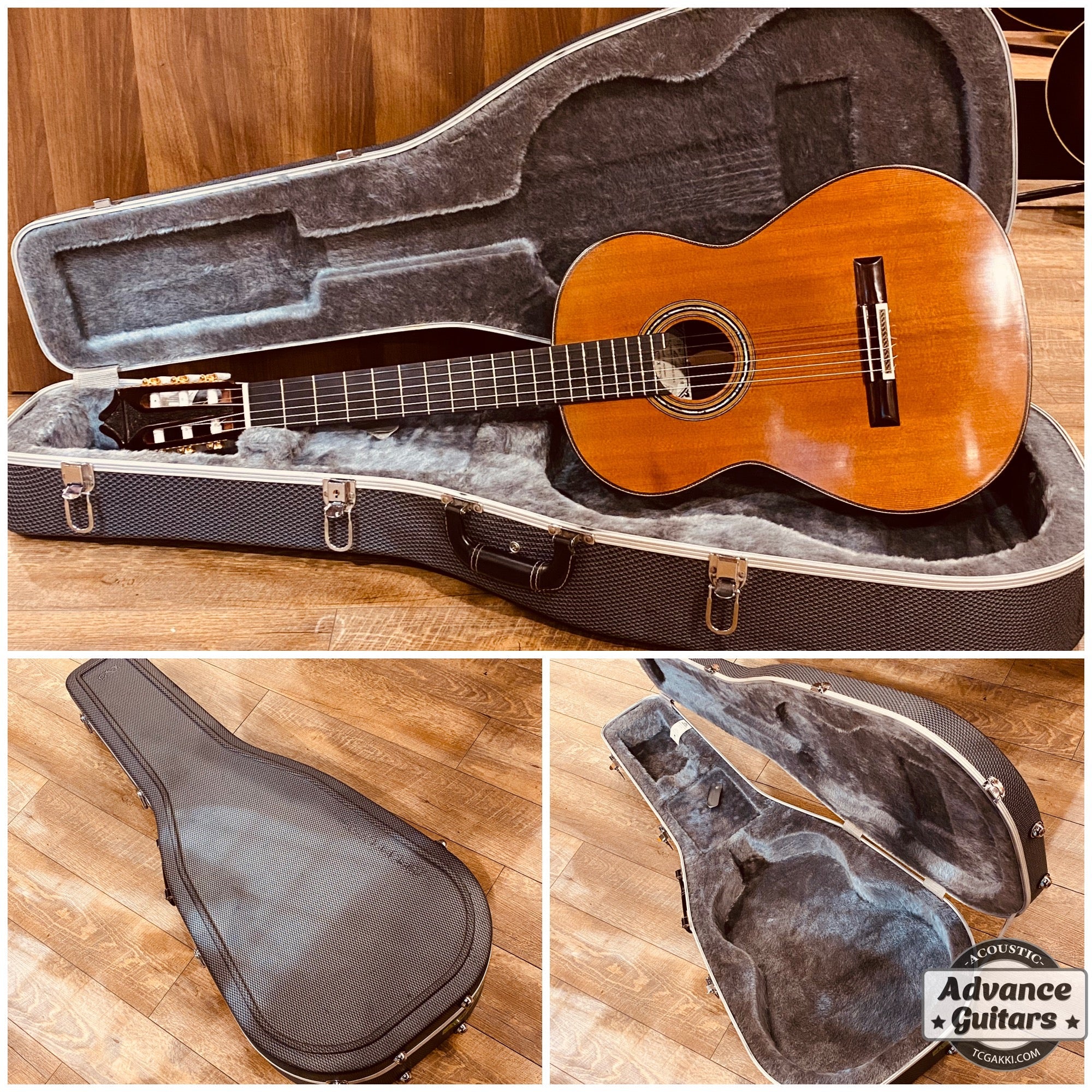 2022年製 SP - TC楽器 - TCGAKKI