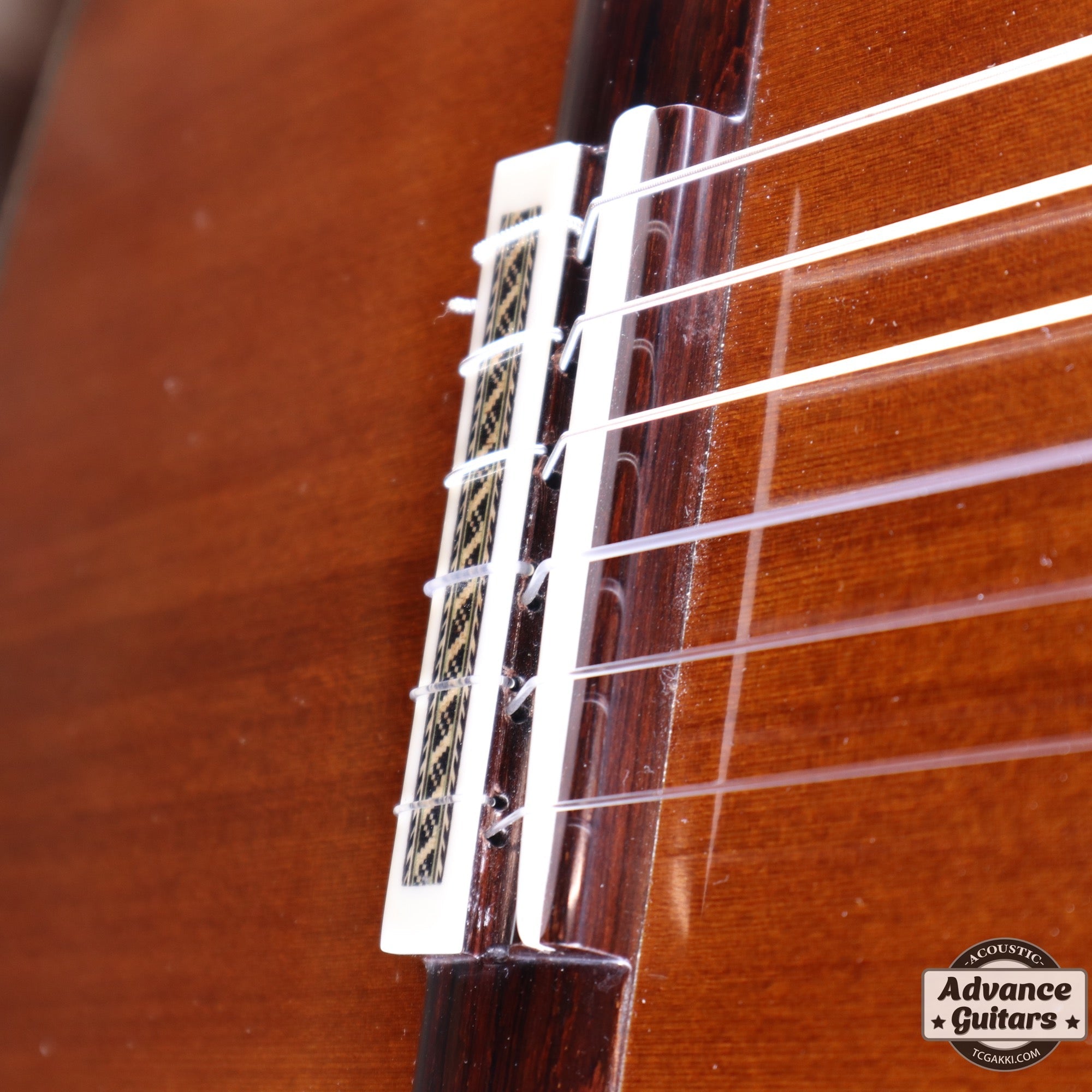 2022年製 SP - TC楽器 - TCGAKKI