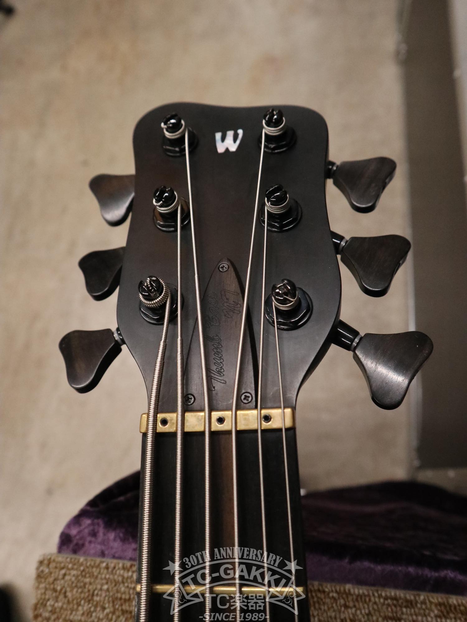 2022 Warwick Masterbuilt Thumb Bass 6 String - TC楽器 - TCGAKKI