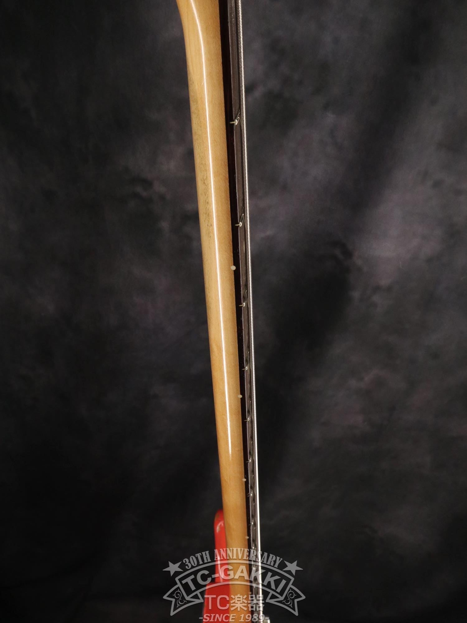 2023 PRO - BAGANDA60 - TC楽器 - TCGAKKI
