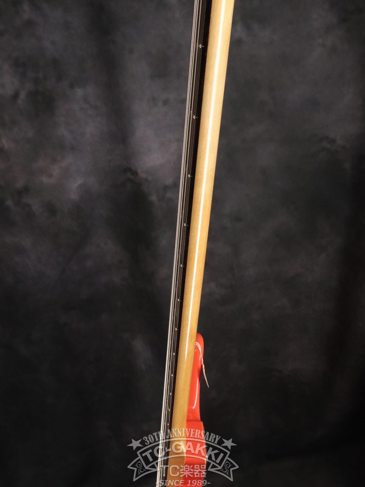 2023 PRO - BAGANDA60 - TC楽器 - TCGAKKI