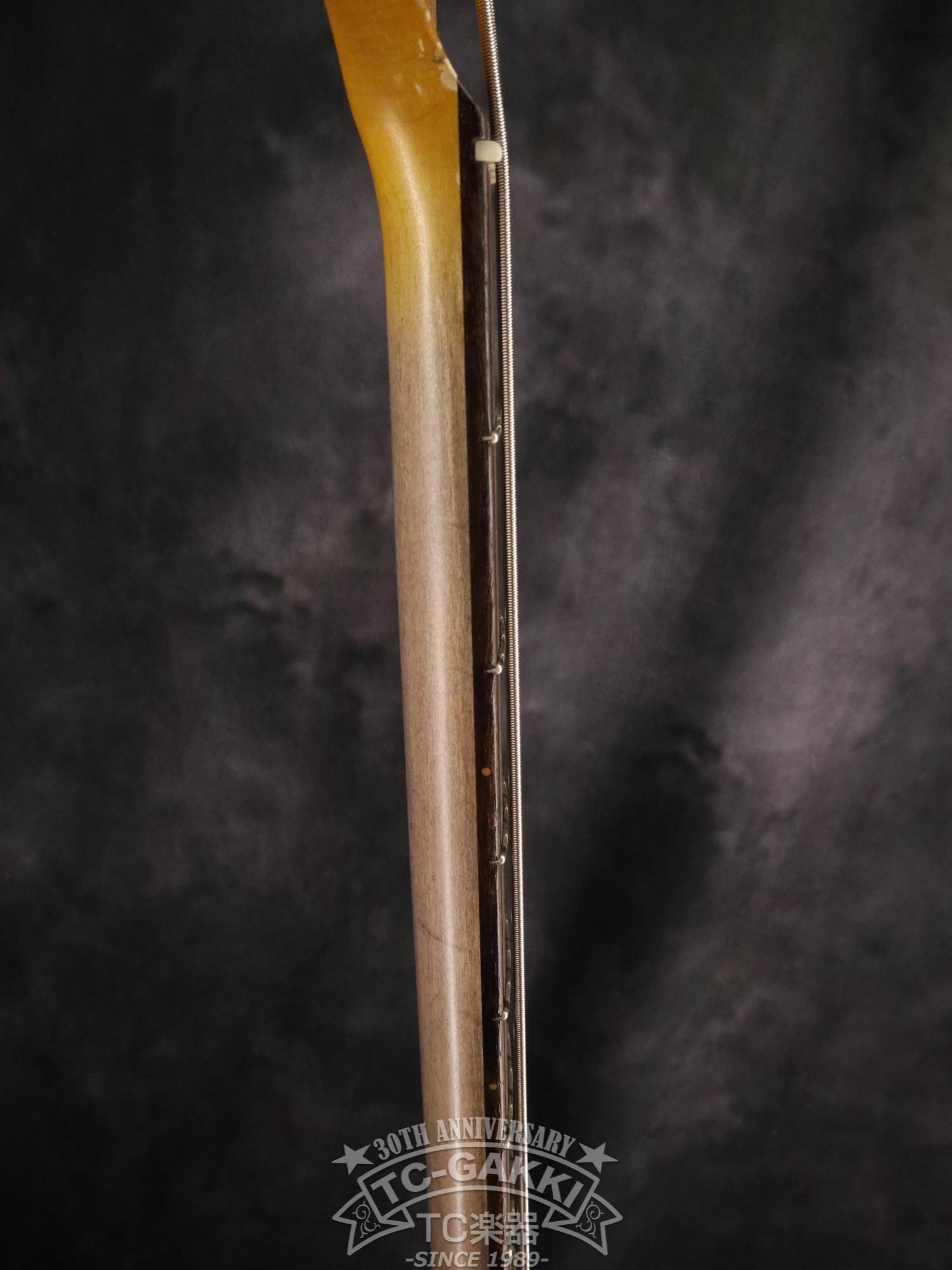 2023 STETSON - TC楽器 - TCGAKKI