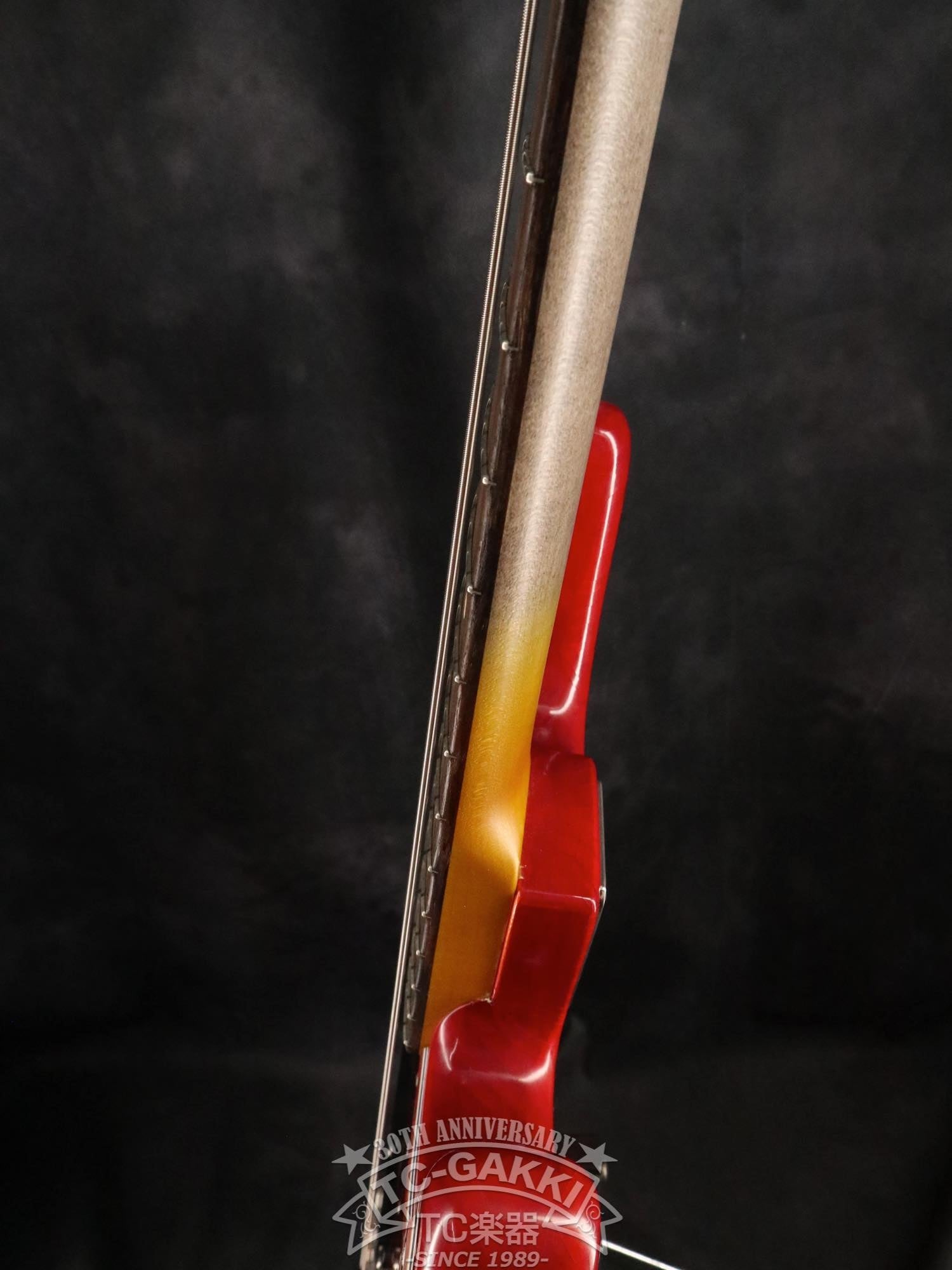 2023 STETSON - TC楽器 - TCGAKKI