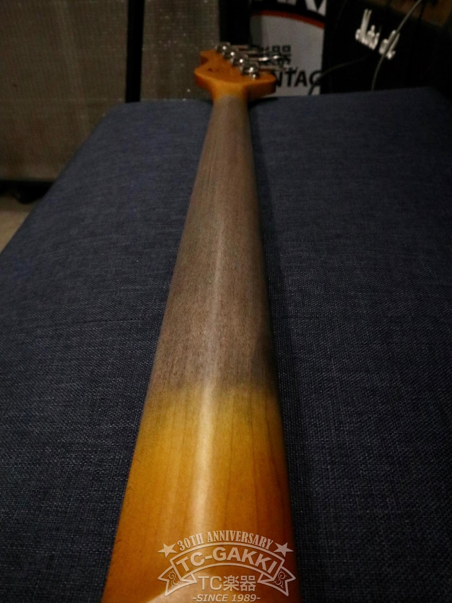 2023 STETSON - TC楽器 - TCGAKKI