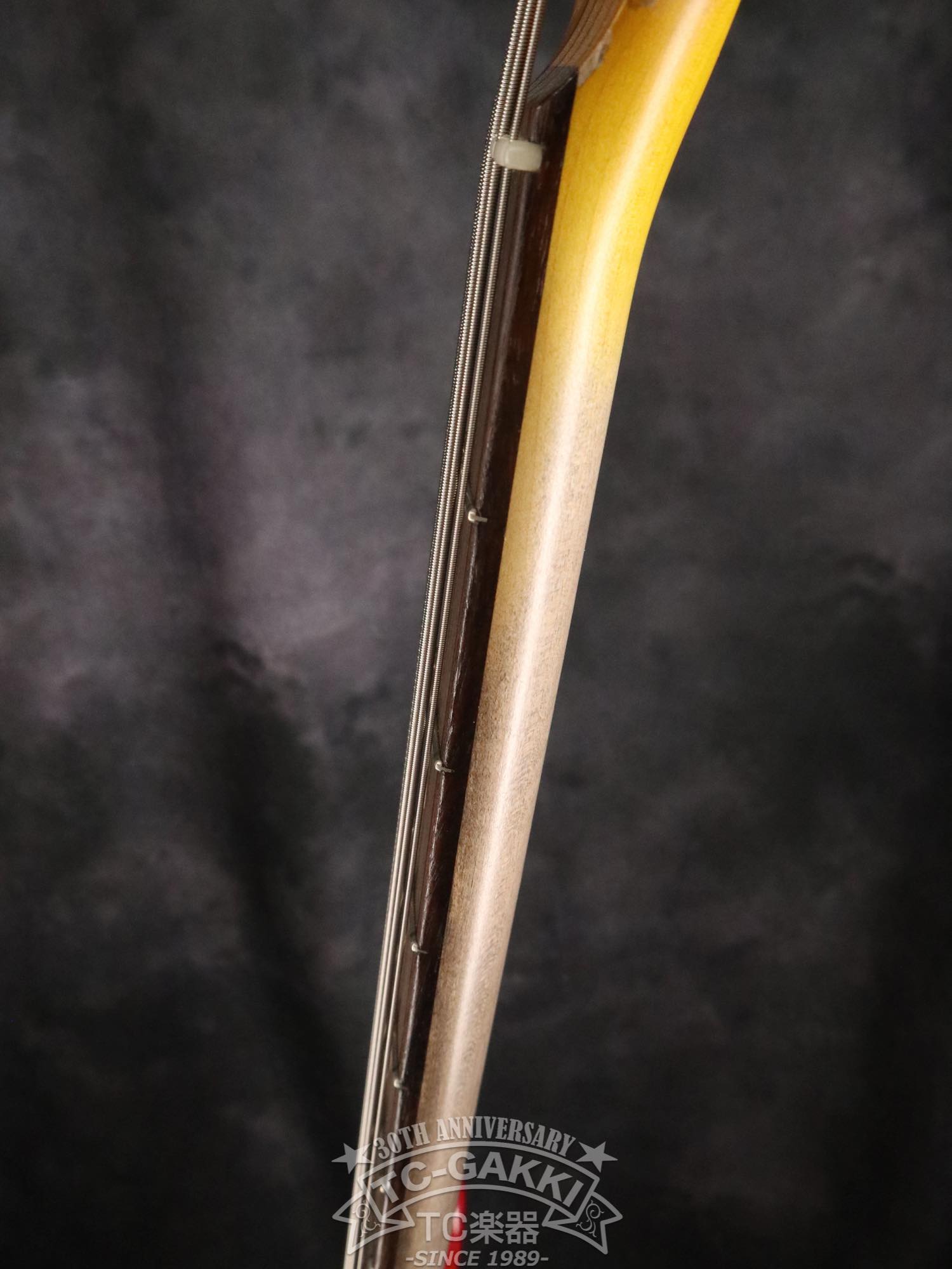 2023 STETSON - TC楽器 - TCGAKKI