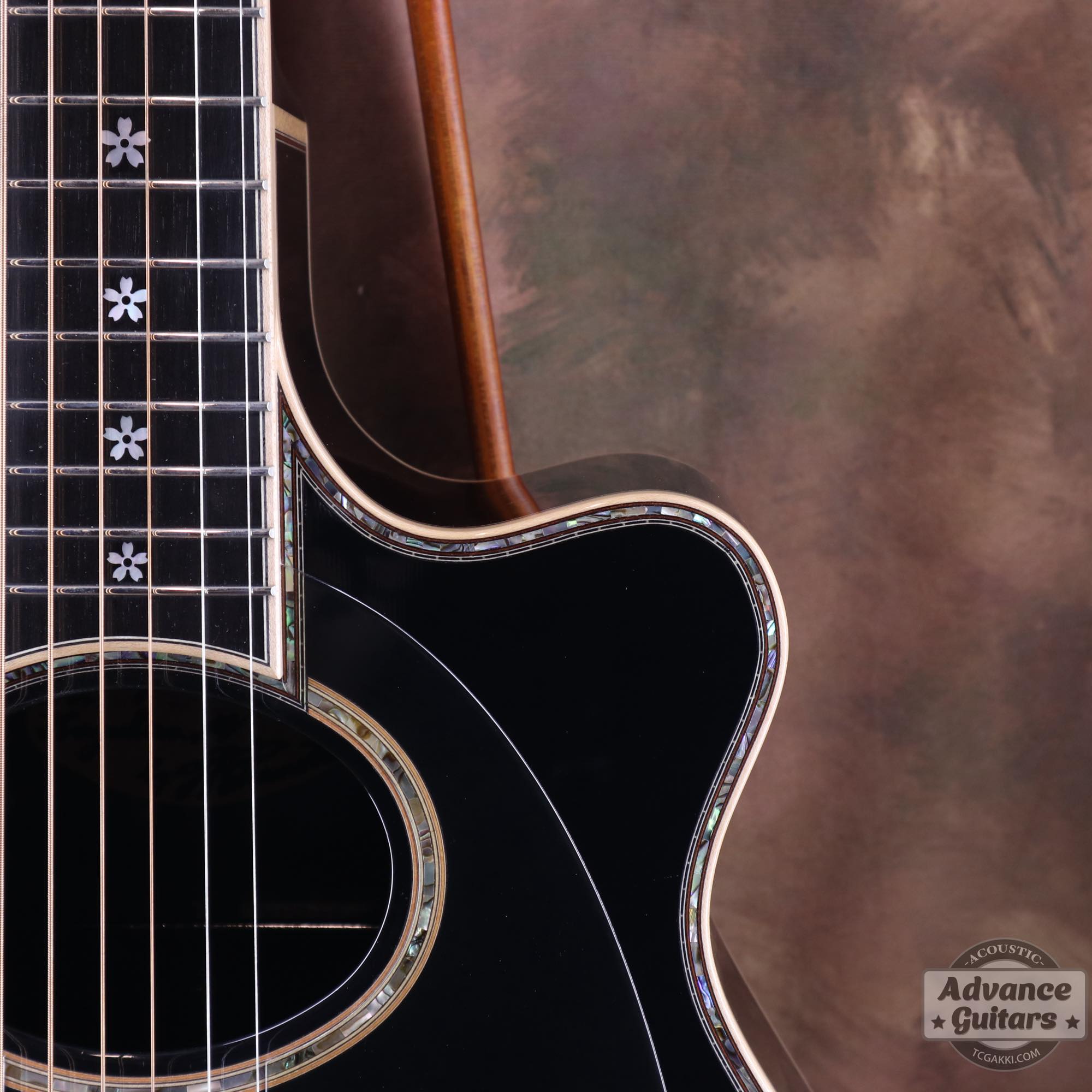 2023年製 TS Custom