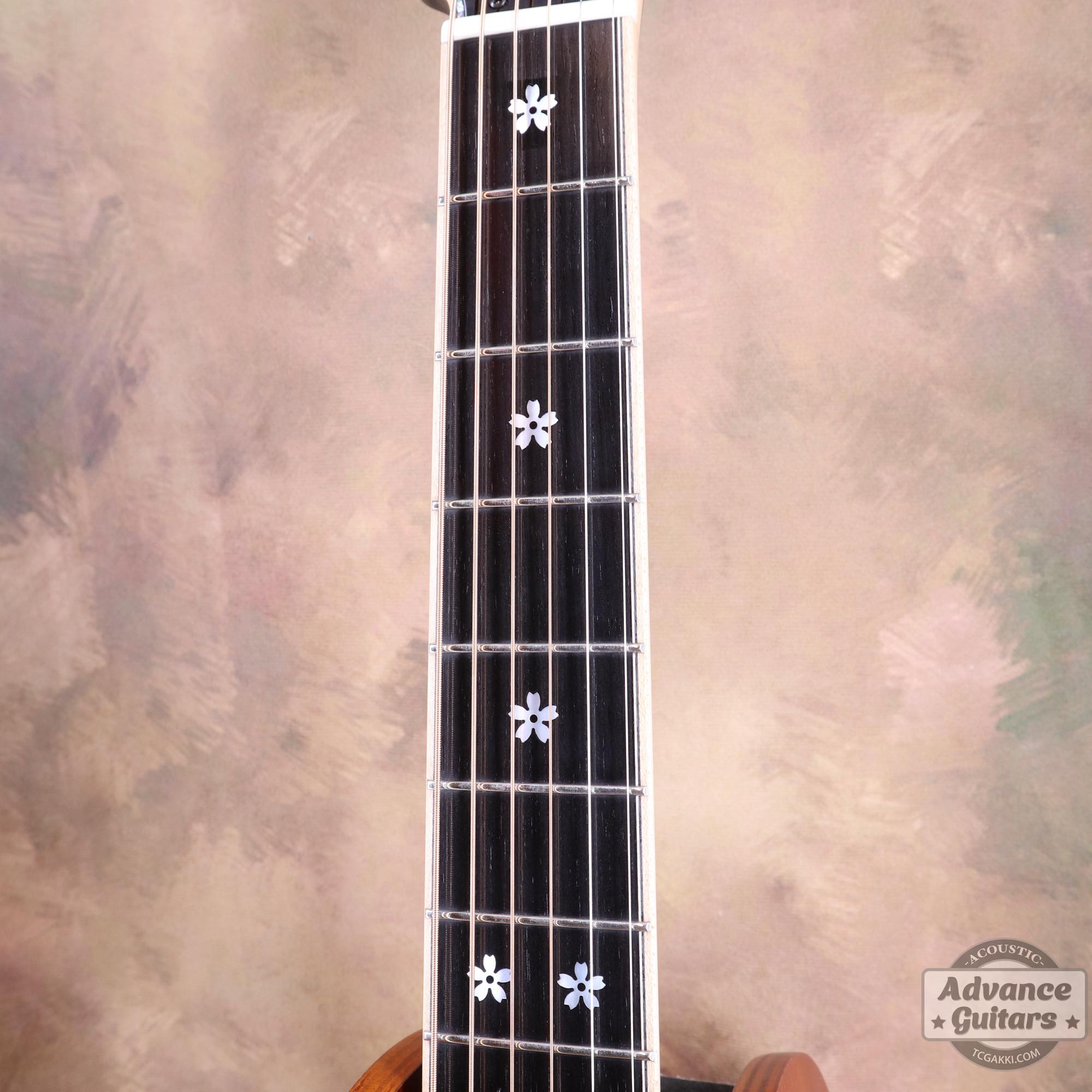 2023年製 TS Custom - TC楽器 - TCGAKKI