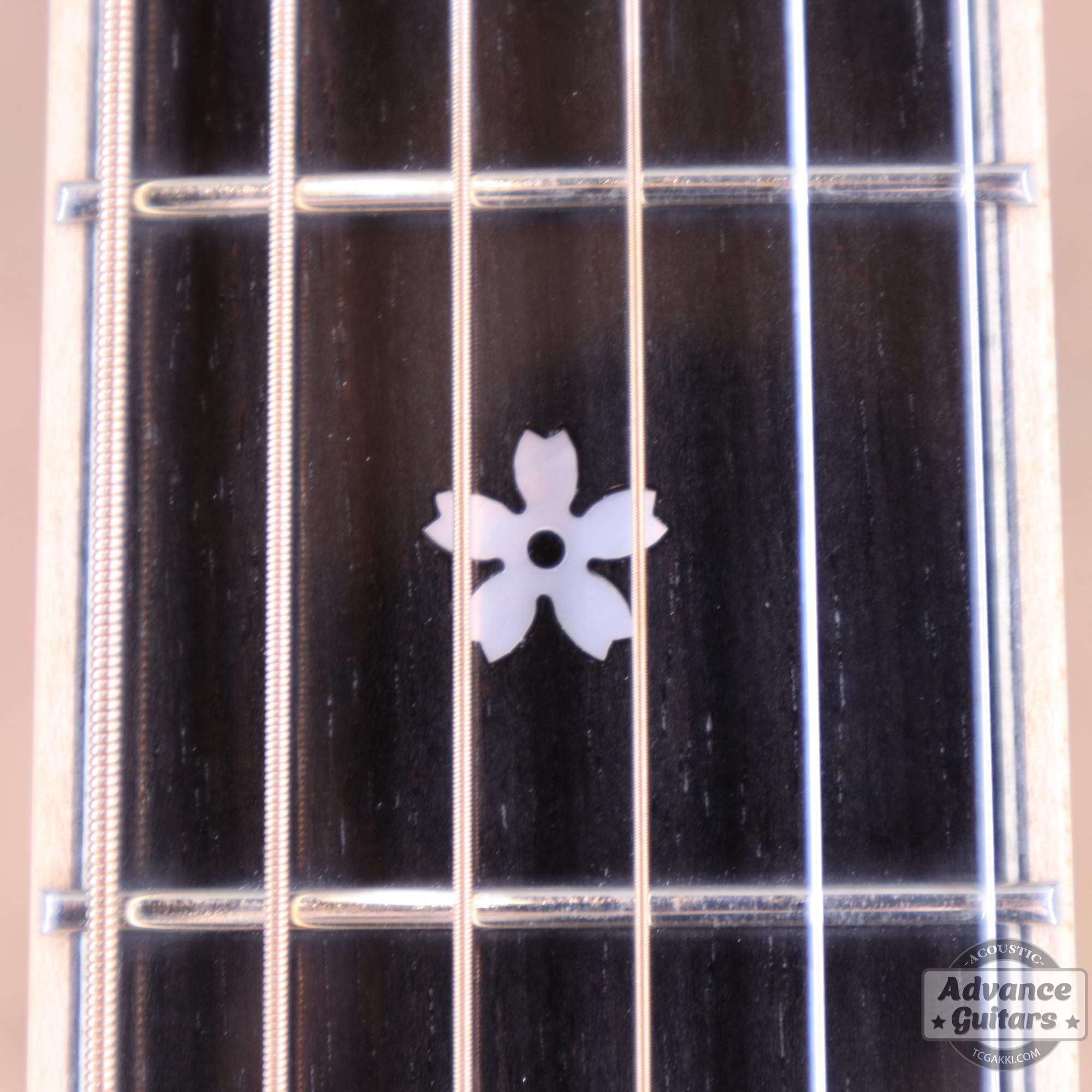 2023年製 TS Custom - TC楽器 - TCGAKKI