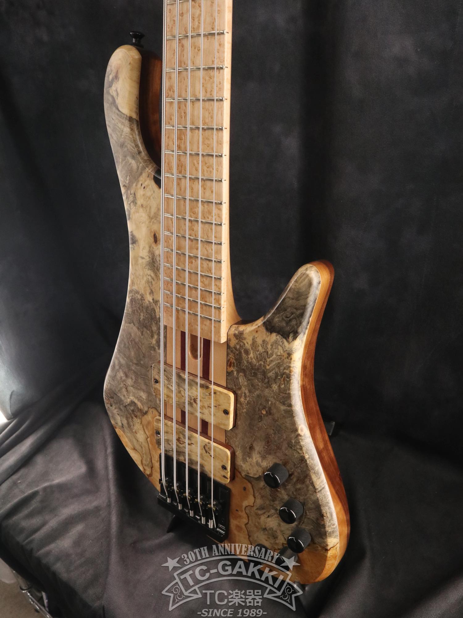 2024 Africa 5 Strings - TC楽器 - TCGAKKI