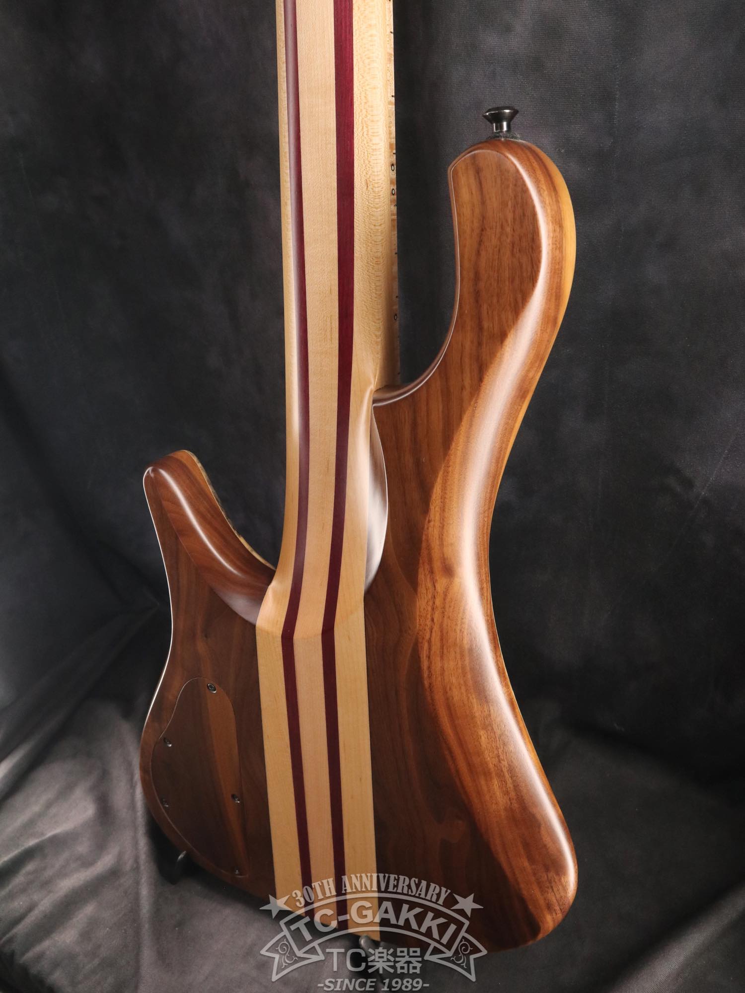 2024 Africa 5 Strings - TC楽器 - TCGAKKI