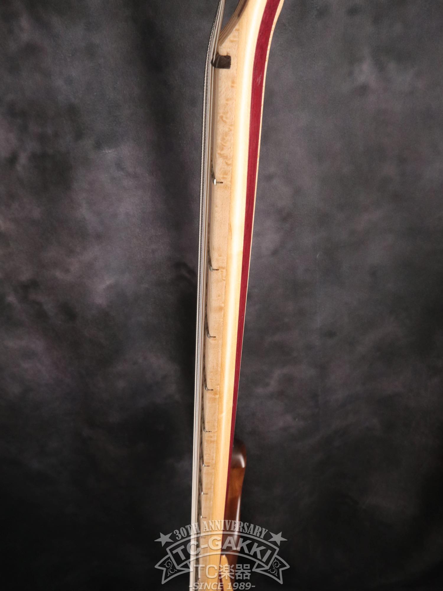 2024 Africa 5 Strings - TC楽器 - TCGAKKI