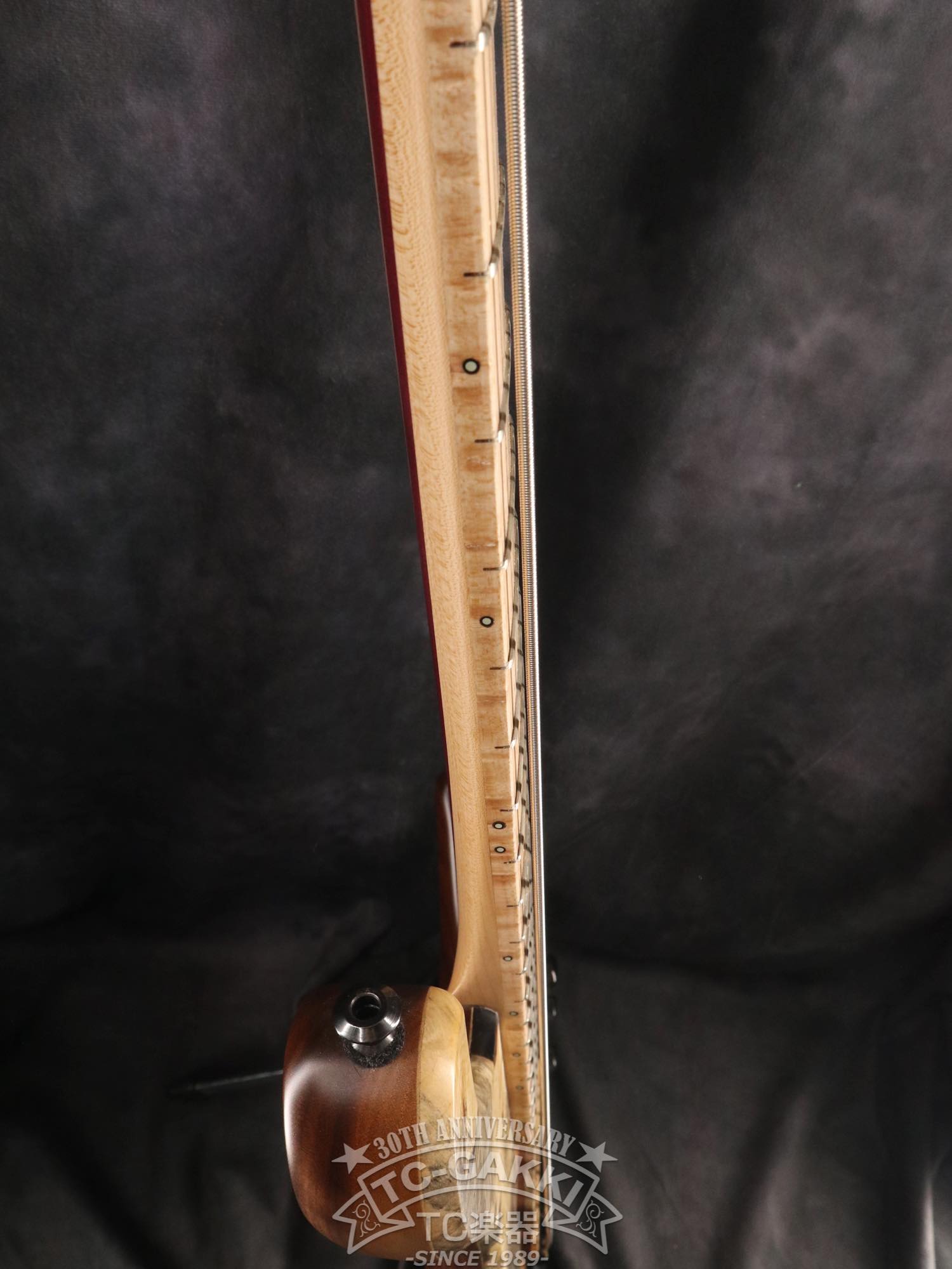 2024 Africa 5 Strings - TC楽器 - TCGAKKI