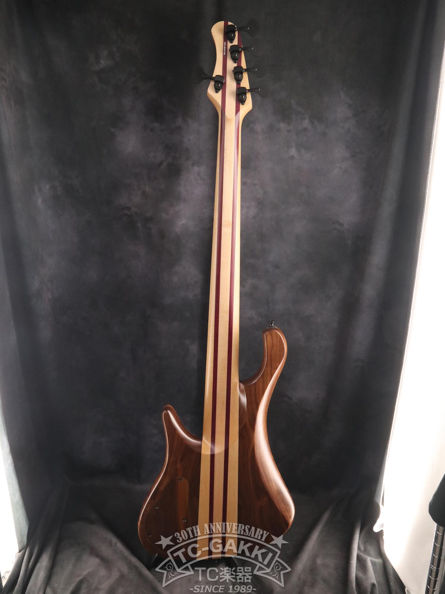 2024 Africa 5 Strings - TC楽器 - TCGAKKI