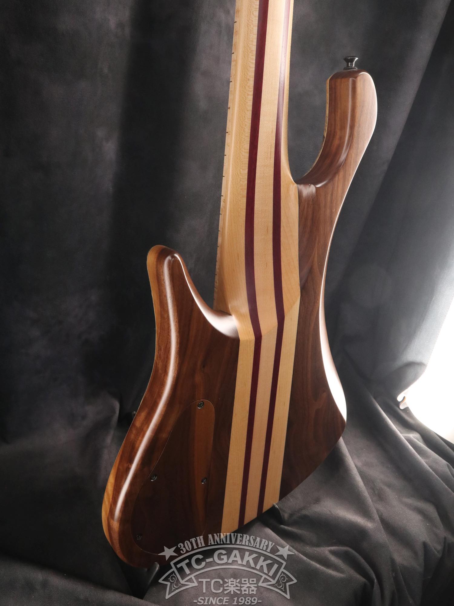 2024 Africa 5 Strings - TC楽器 - TCGAKKI