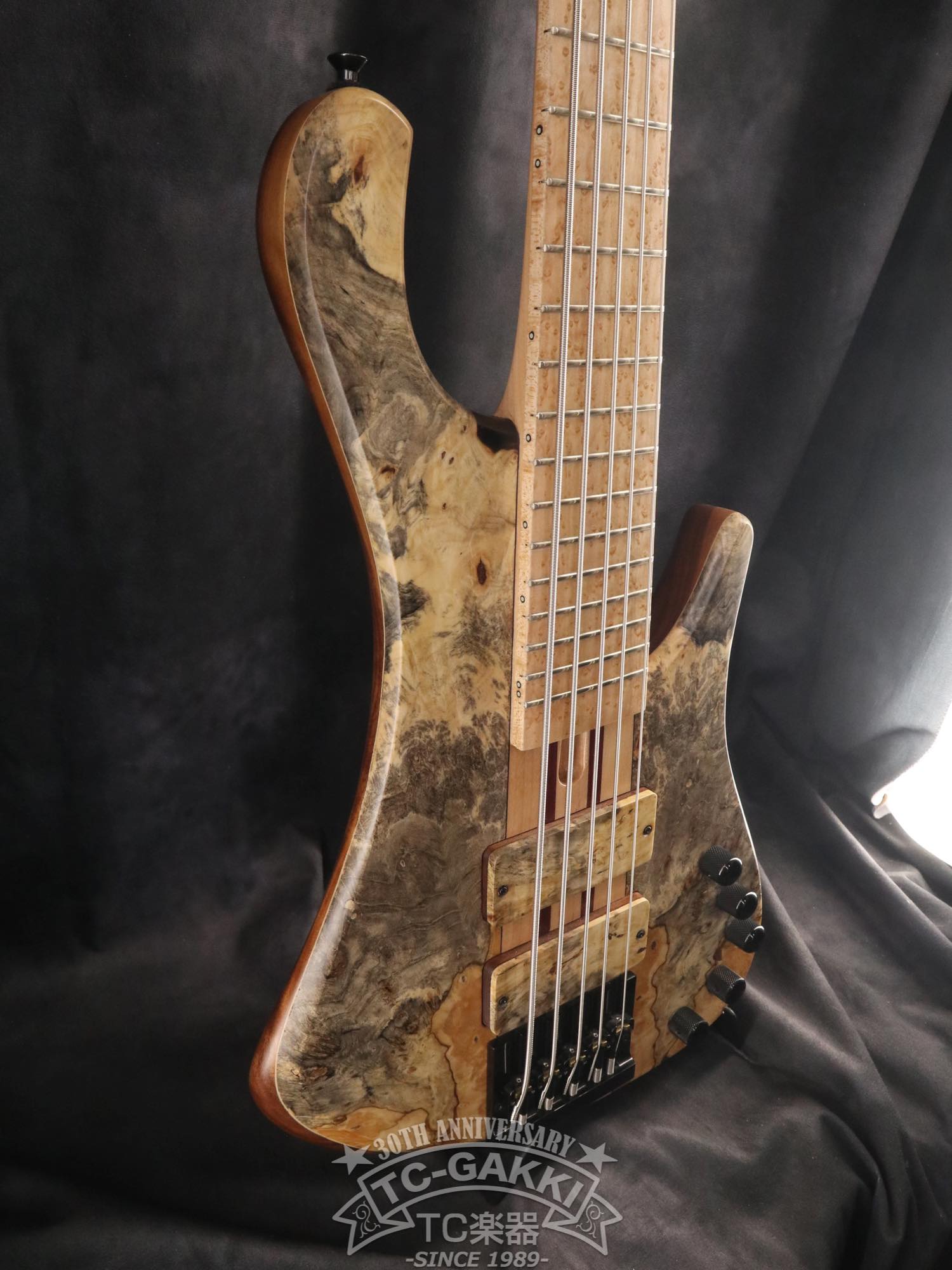 2024 Africa 5 Strings - TC楽器 - TCGAKKI