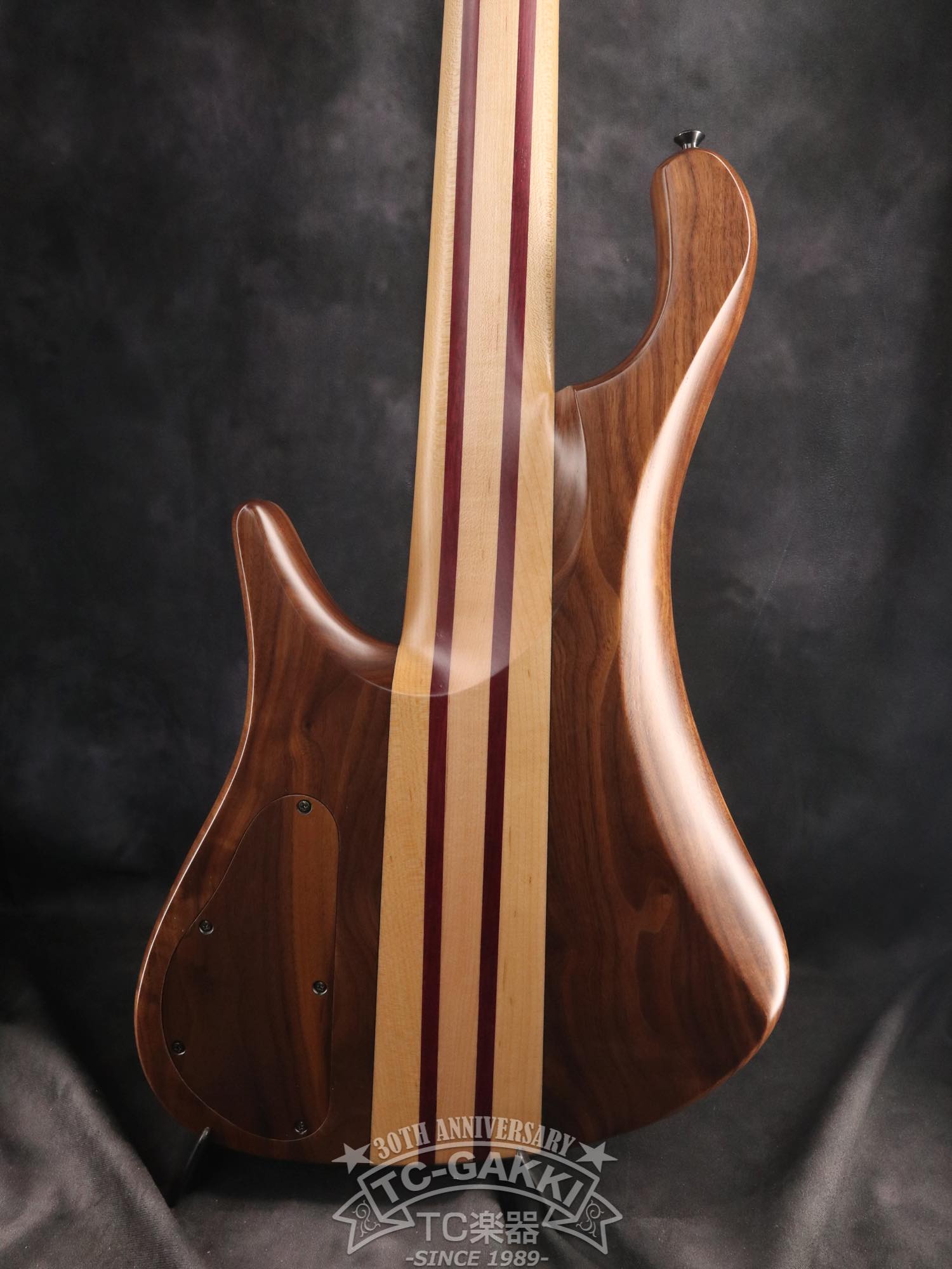 2024 Africa 5 Strings - TC楽器 - TCGAKKI