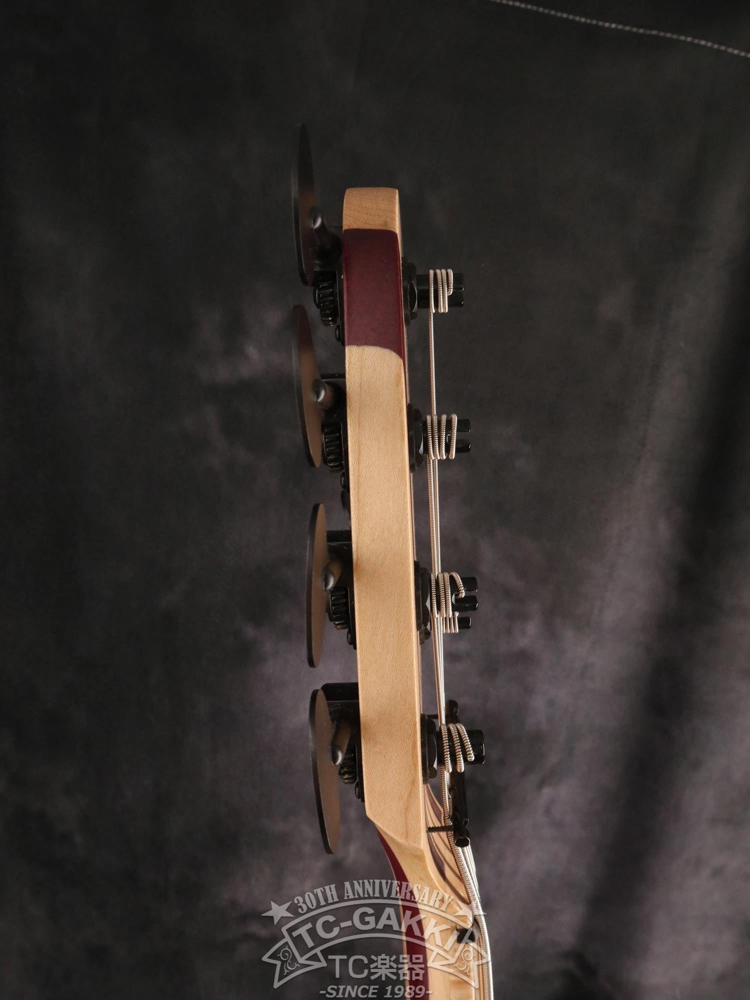 2024 Africa 5 Strings - TC楽器 - TCGAKKI