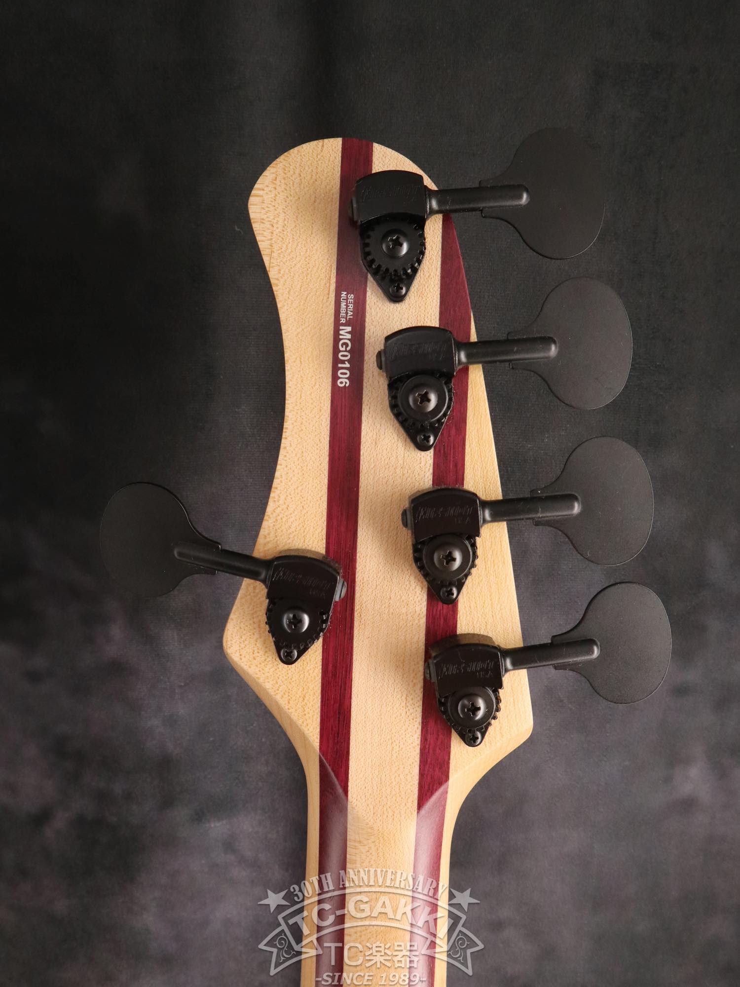 2024 Africa 5 Strings - TC楽器 - TCGAKKI