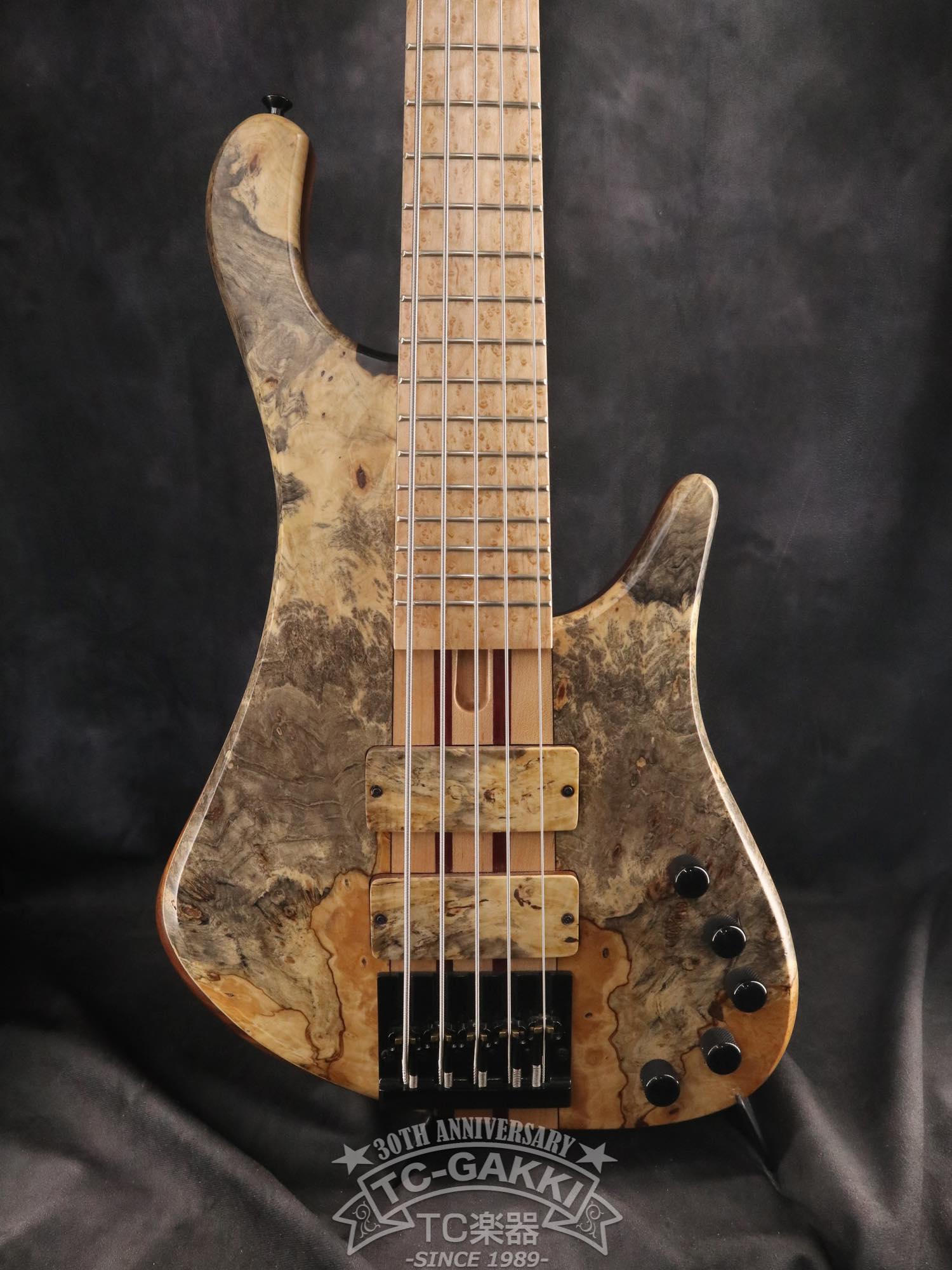 2024 Africa 5 Strings - TC楽器 - TCGAKKI