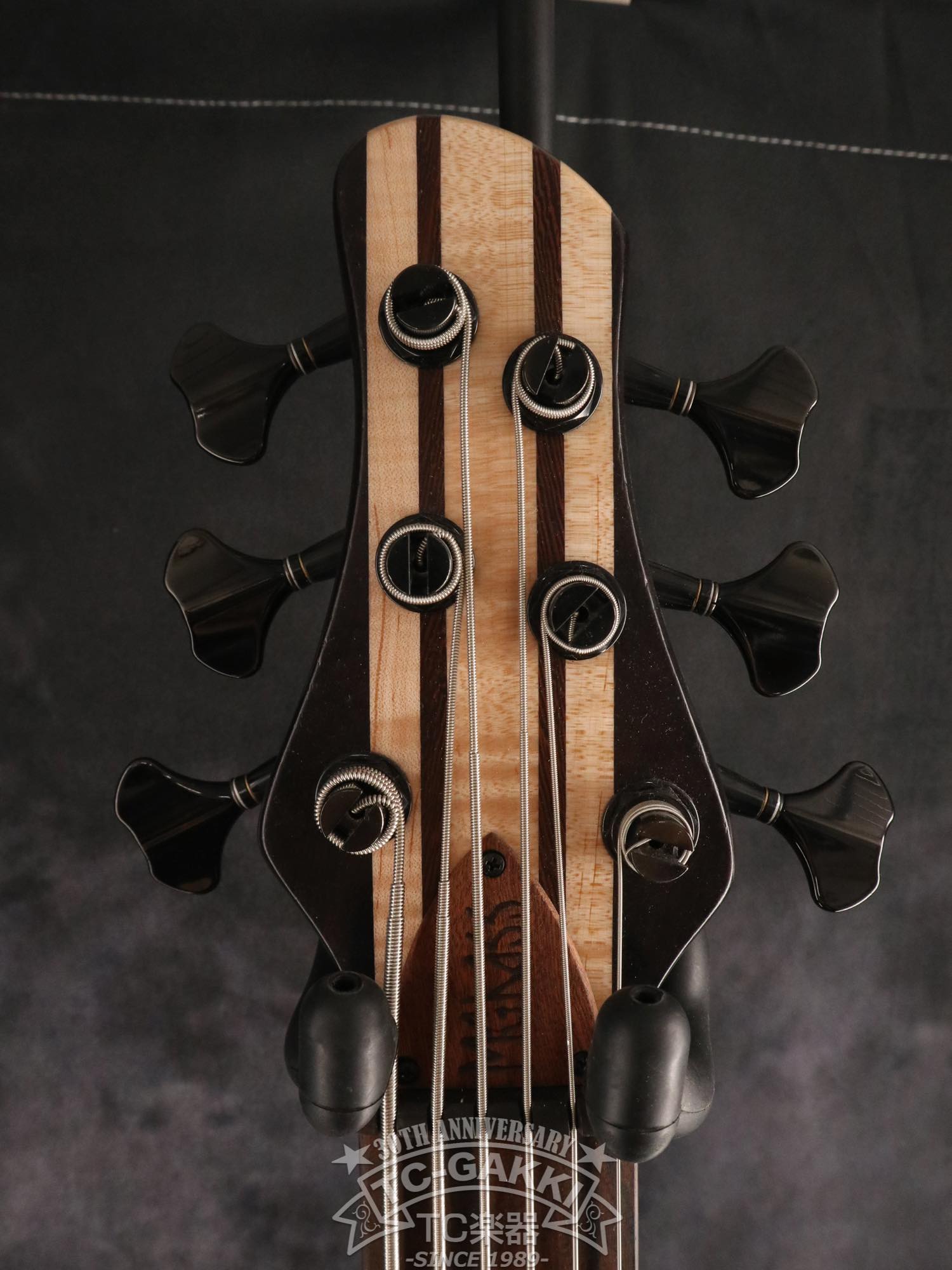 2024 Desert 6 strings - TC楽器 - TCGAKKI