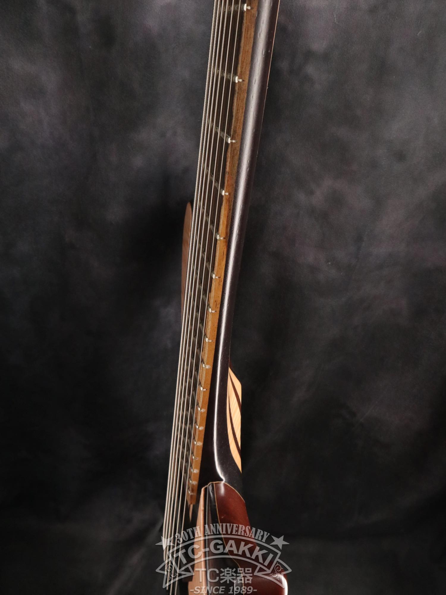 2024 Desert 6 strings - TC楽器 - TCGAKKI