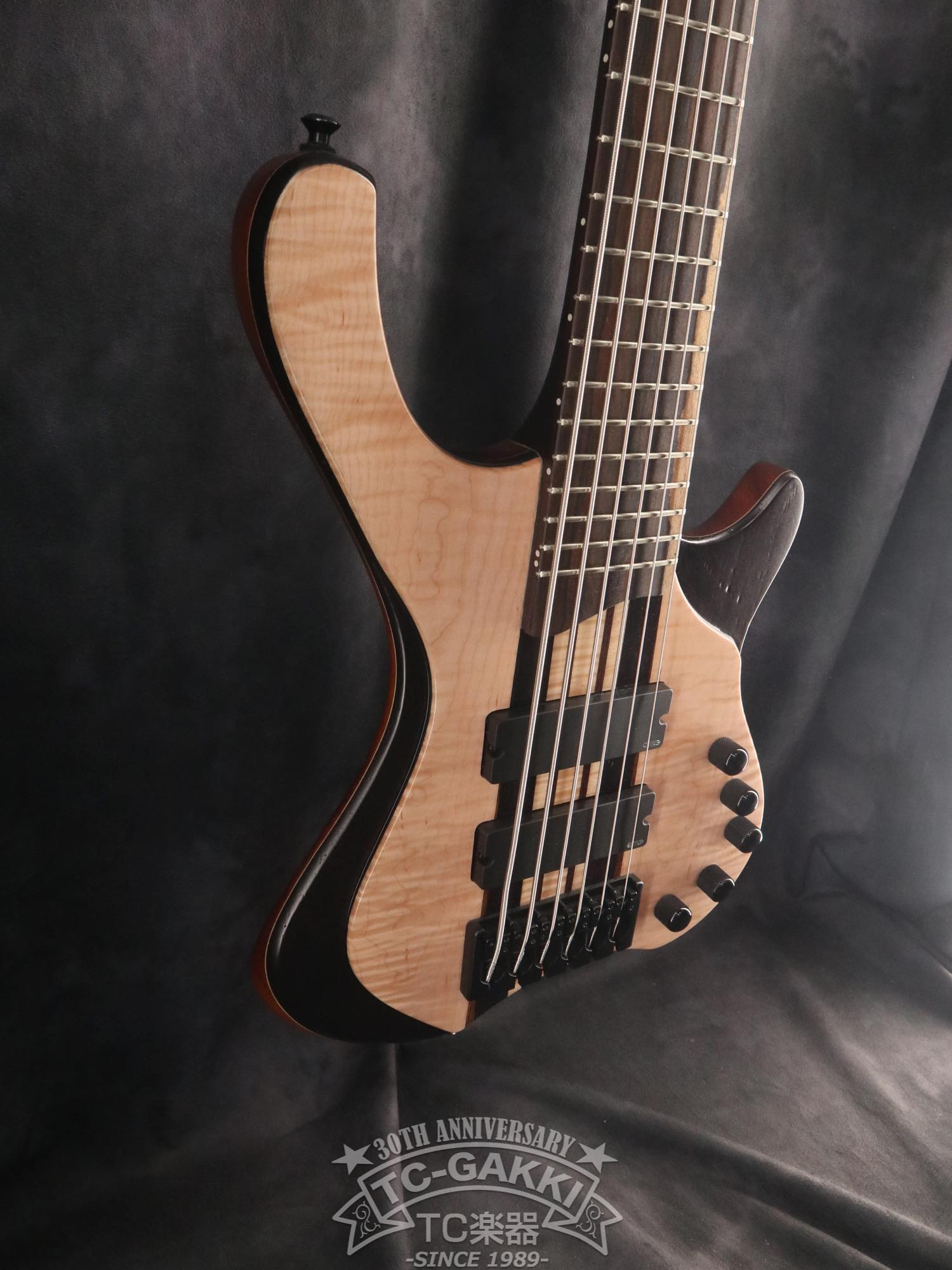 2024 Desert 6 strings - TC楽器 - TCGAKKI