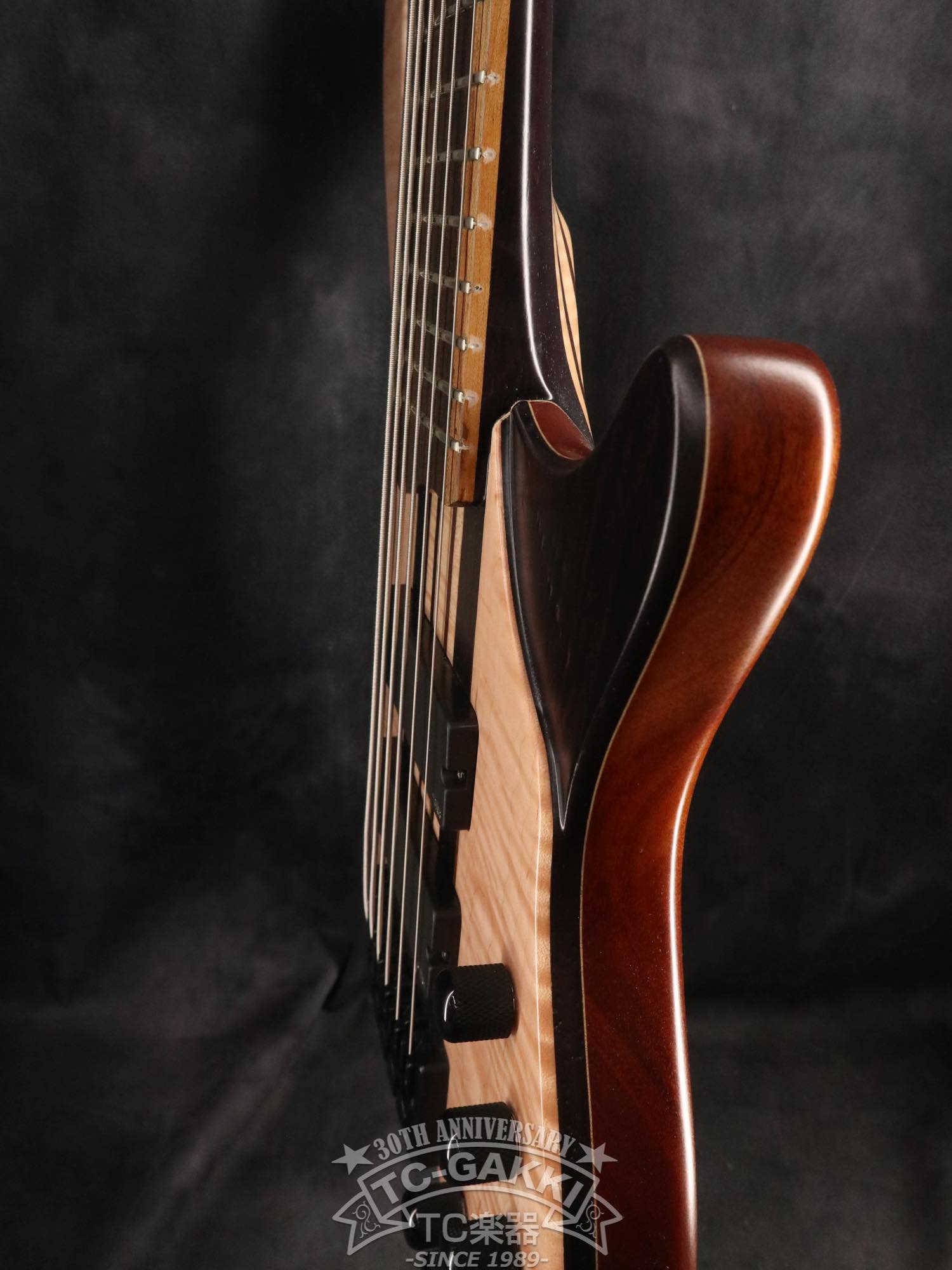 2024 Desert 6 strings - TC楽器 - TCGAKKI