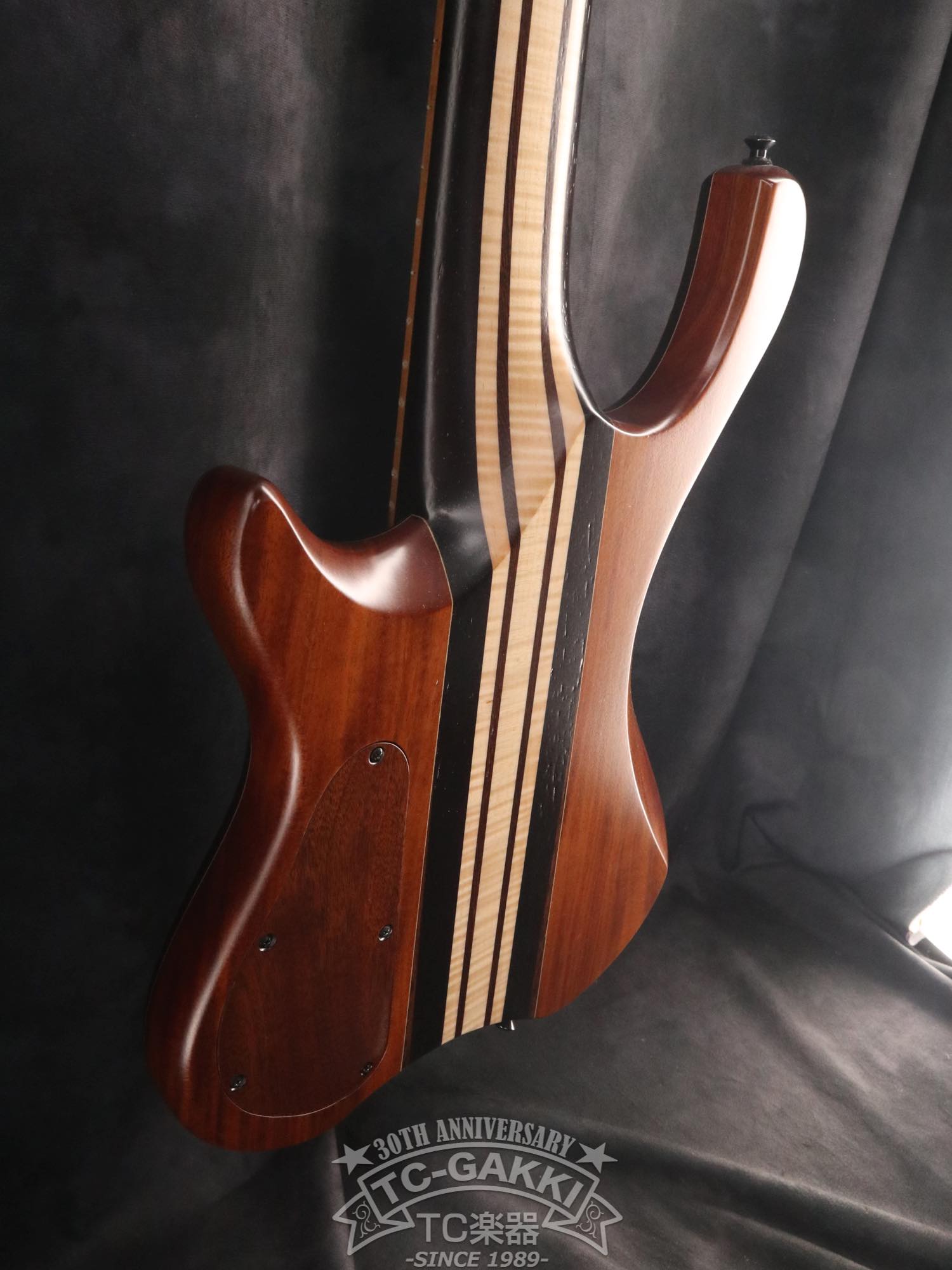 2024 Desert 6 strings - TC楽器 - TCGAKKI