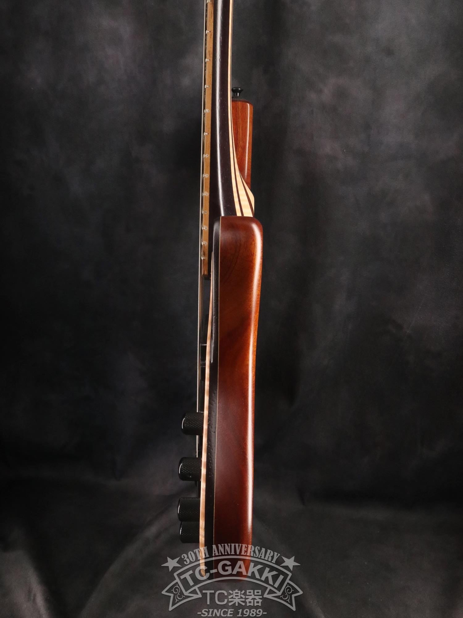 2024 Desert 6 strings - TC楽器 - TCGAKKI