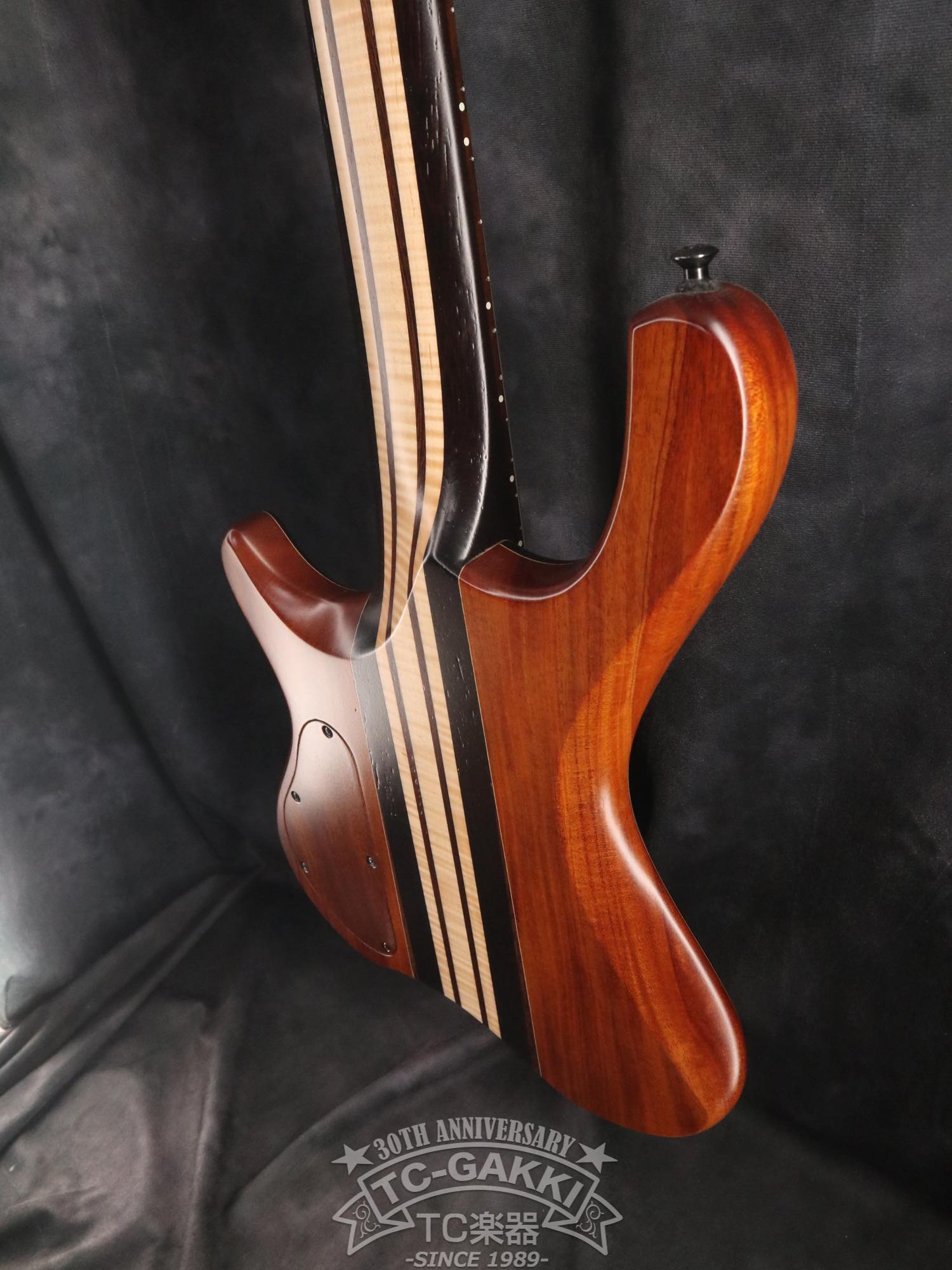 2024 Desert 6 strings - TC楽器 - TCGAKKI