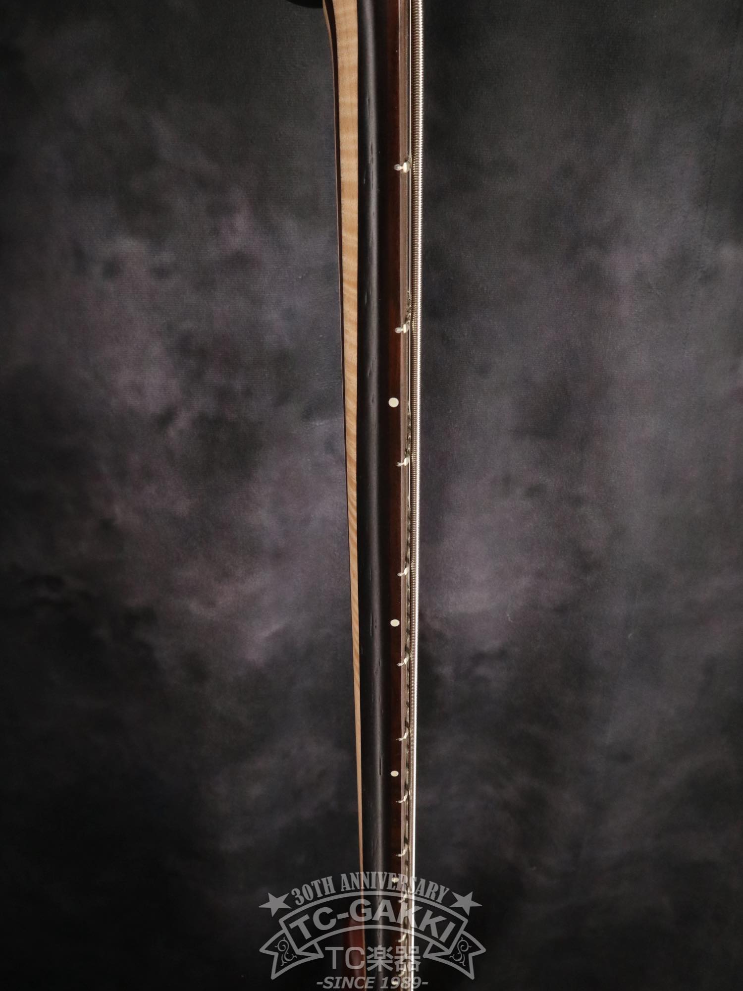 2024 Desert 6 strings - TC楽器 - TCGAKKI