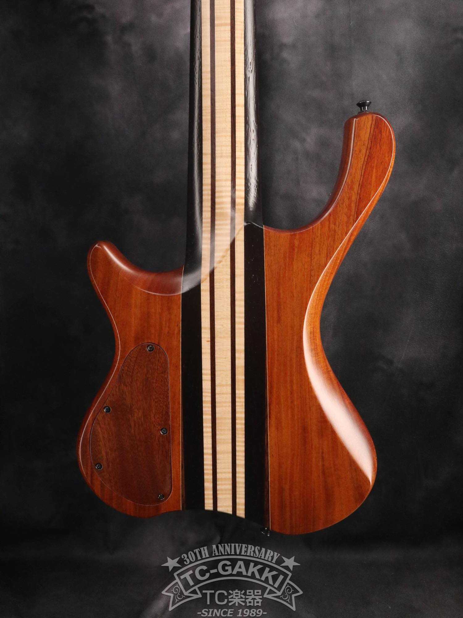 2024 Desert 6 strings - TC楽器 - TCGAKKI