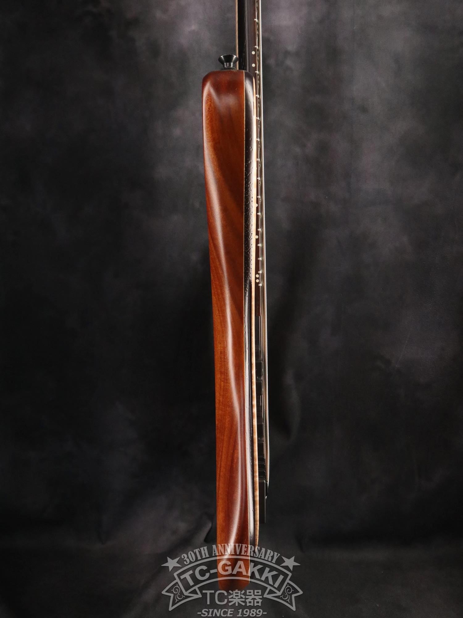 2024 Desert 6 strings - TC楽器 - TCGAKKI