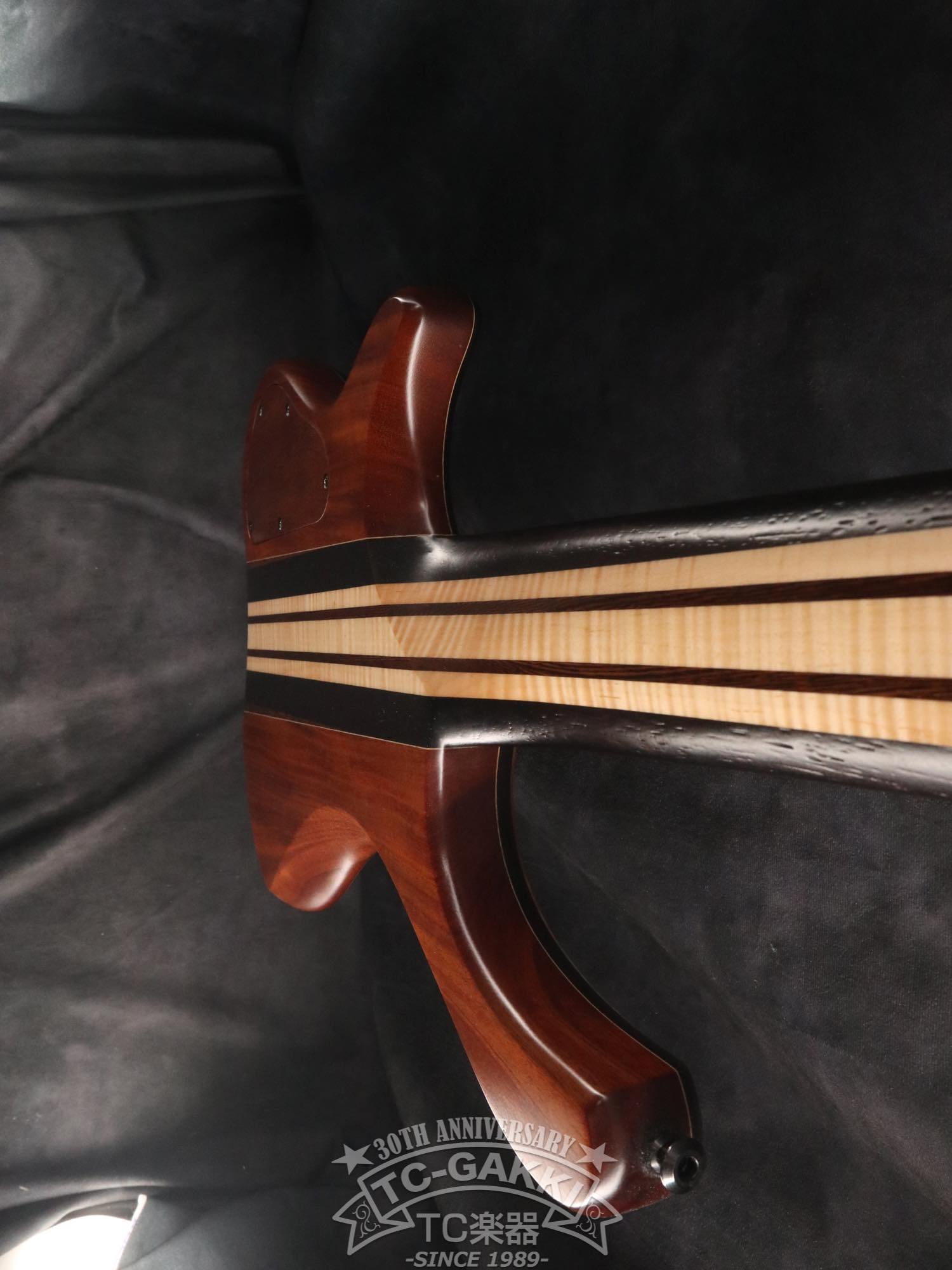 2024 Desert 6 strings - TC楽器 - TCGAKKI