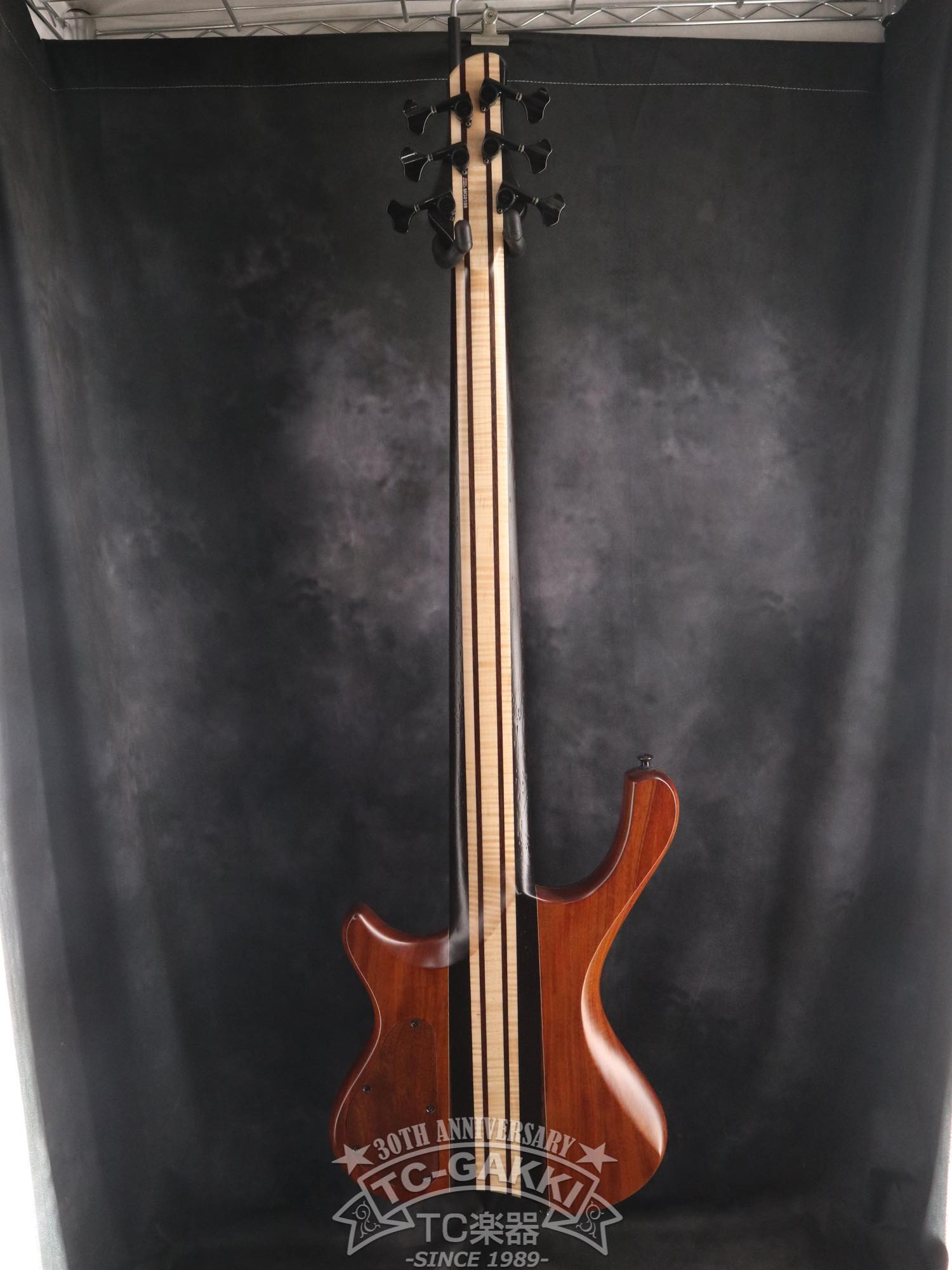 2024 Desert 6 strings - TC楽器 - TCGAKKI