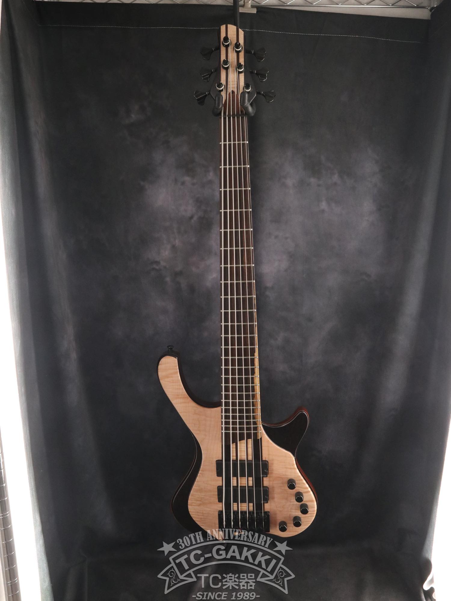 2024 Desert 6 strings - TC楽器 - TCGAKKI
