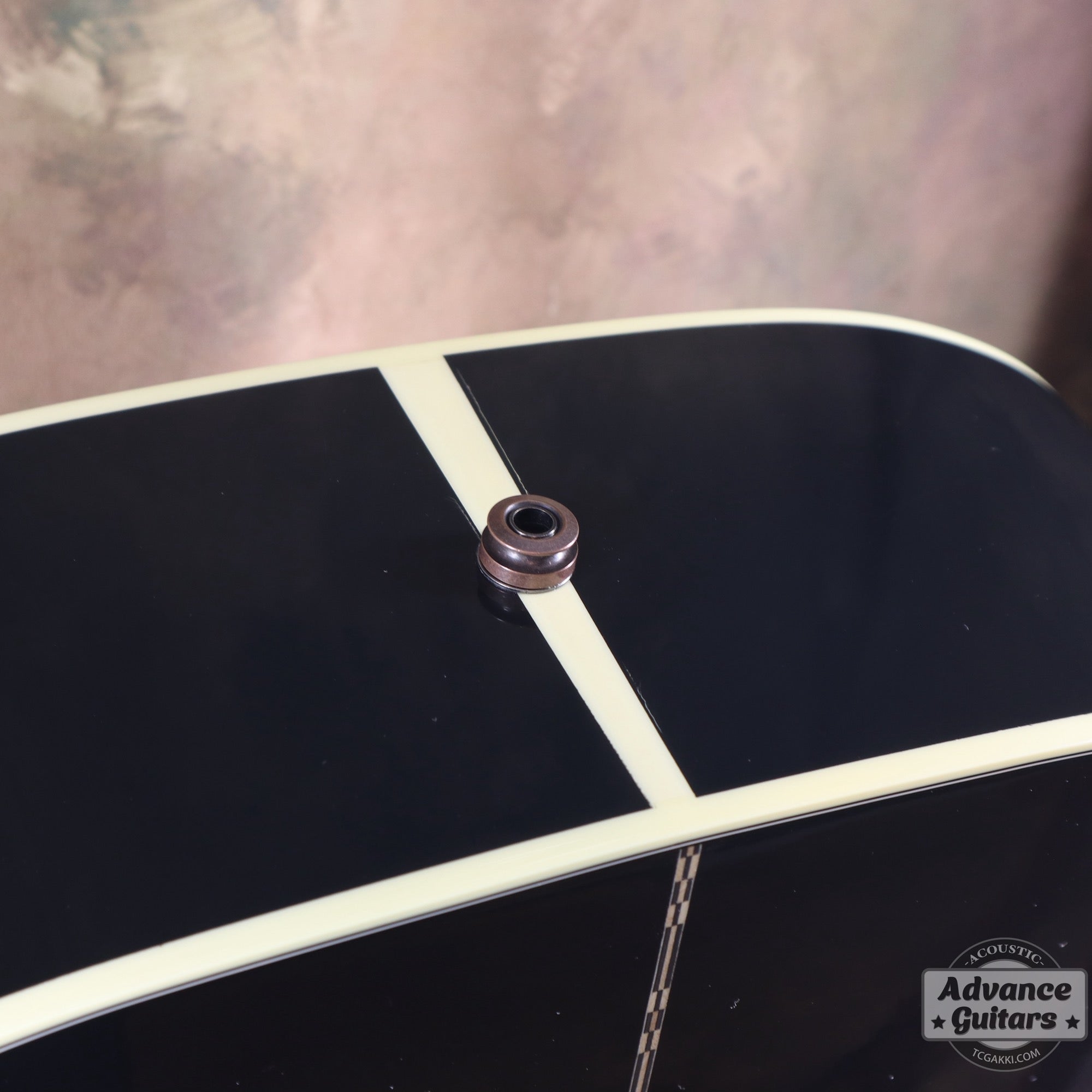 2024年製 ELVIS Dove - TC楽器 - TCGAKKI